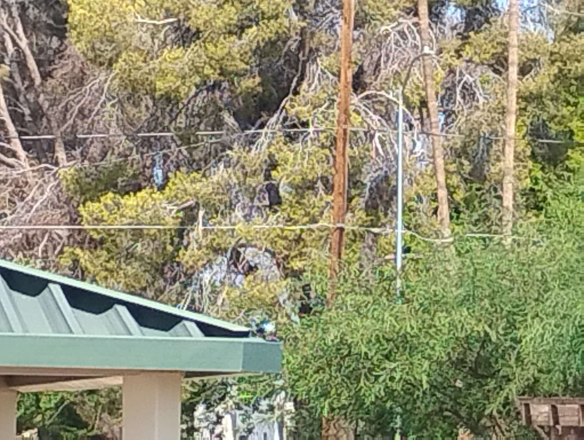Beverly Park - Mesa, AZ