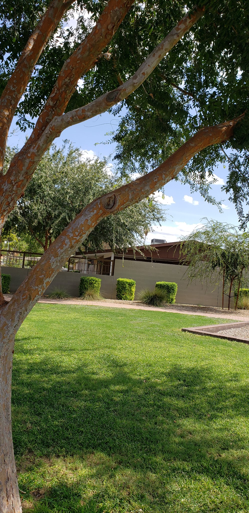 Freedom Park - Mesa, AZ