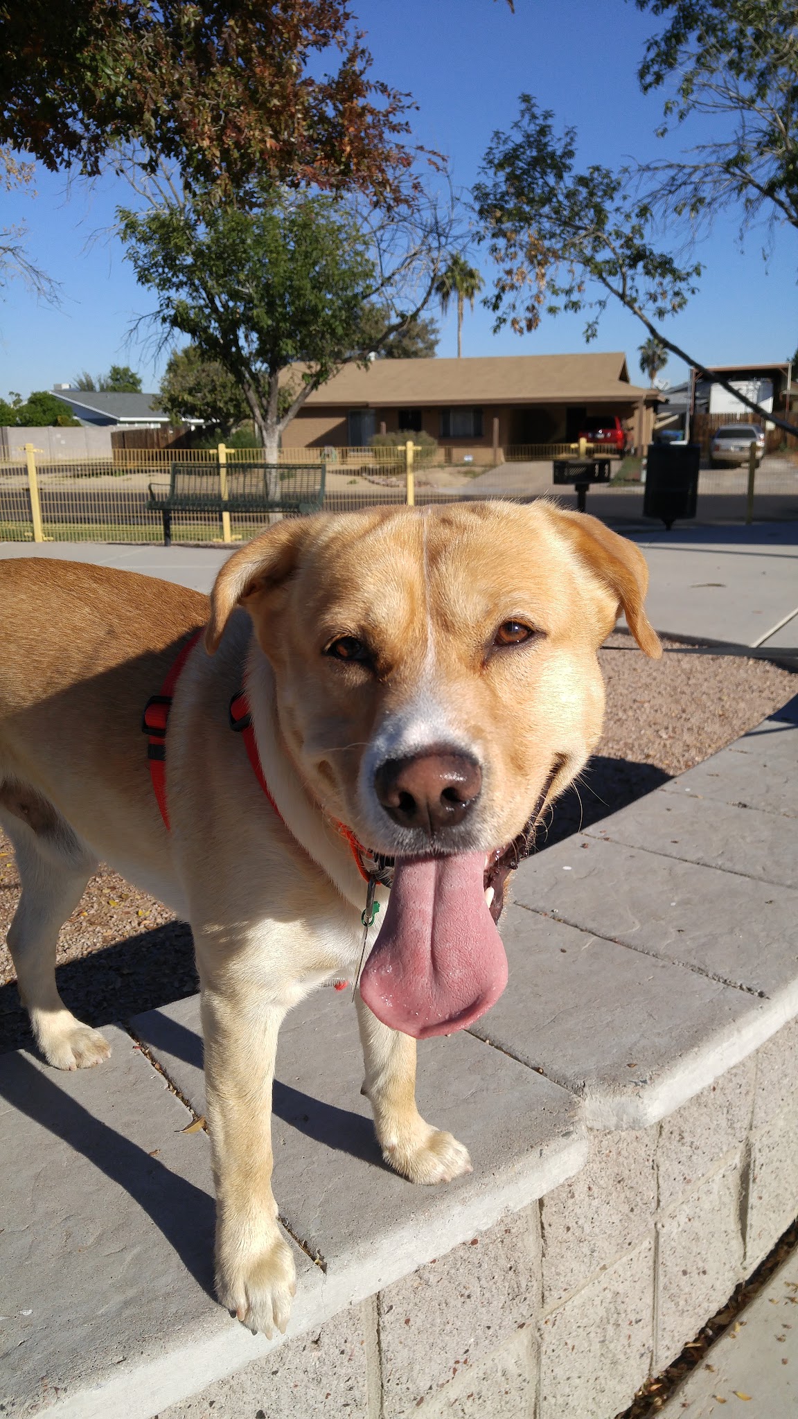 Sherwood Park - Mesa, AZ