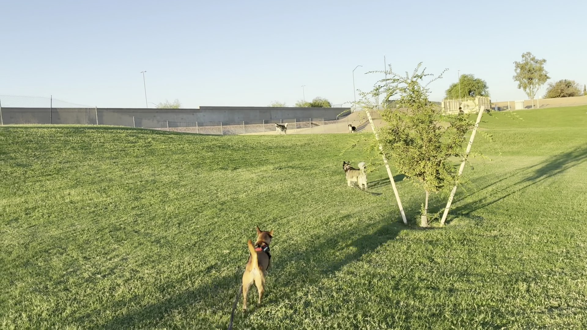 Sherwood Park - Mesa, AZ