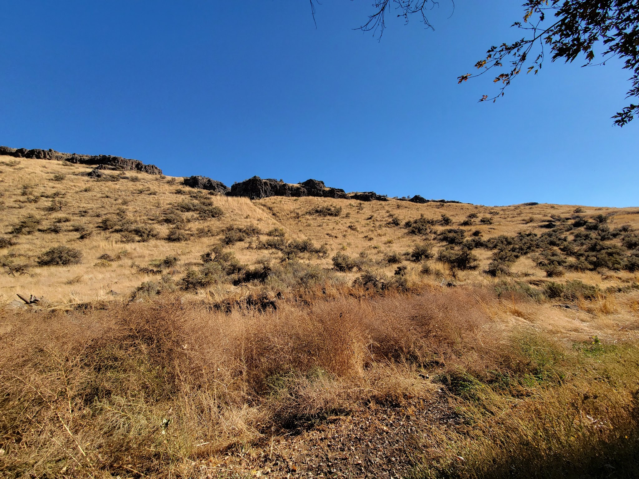 Poe Park - Mesa, WA