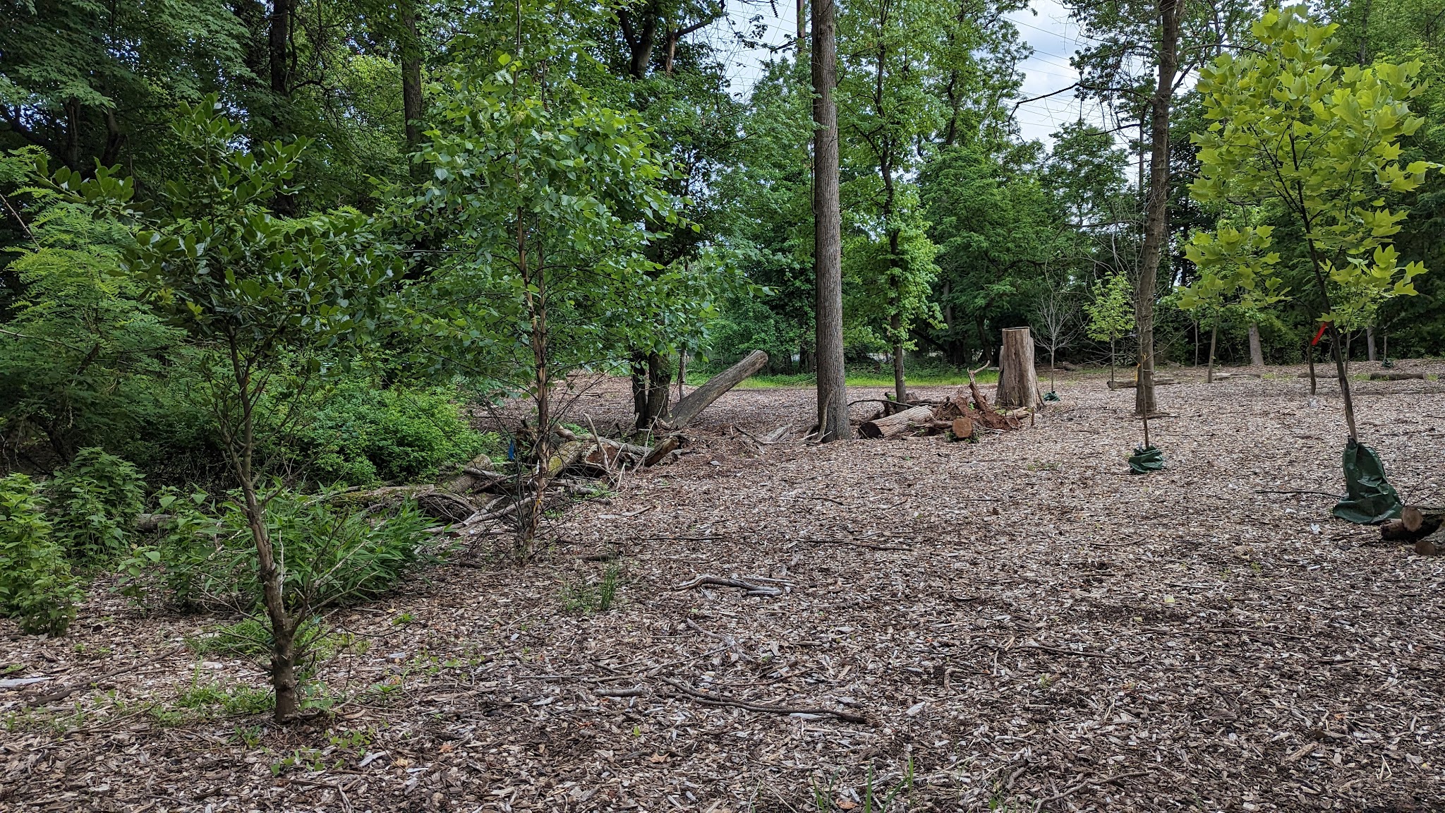Centennial Park - Metuchen, NJ