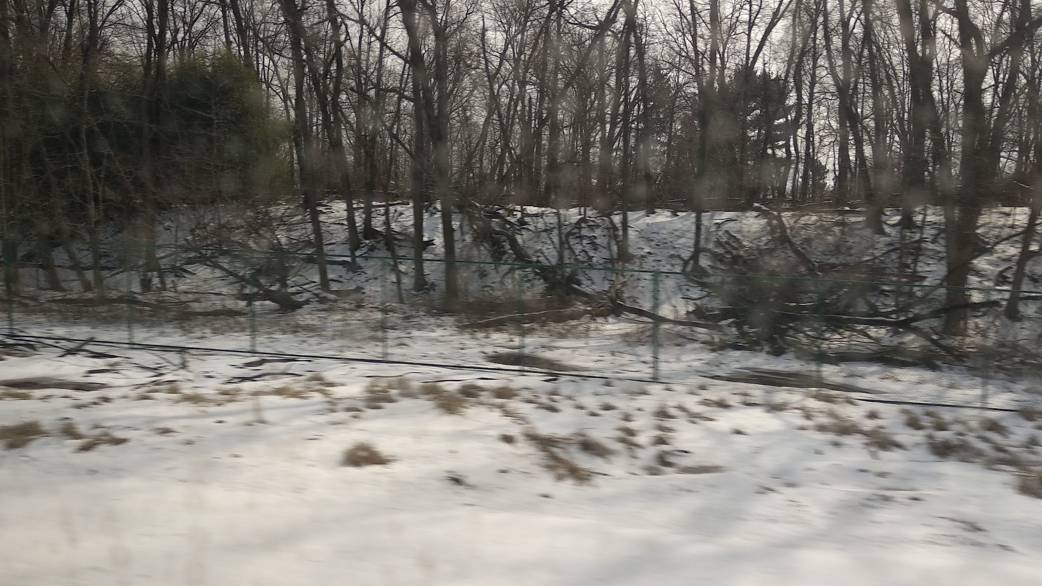 Centennial Park - Metuchen, NJ