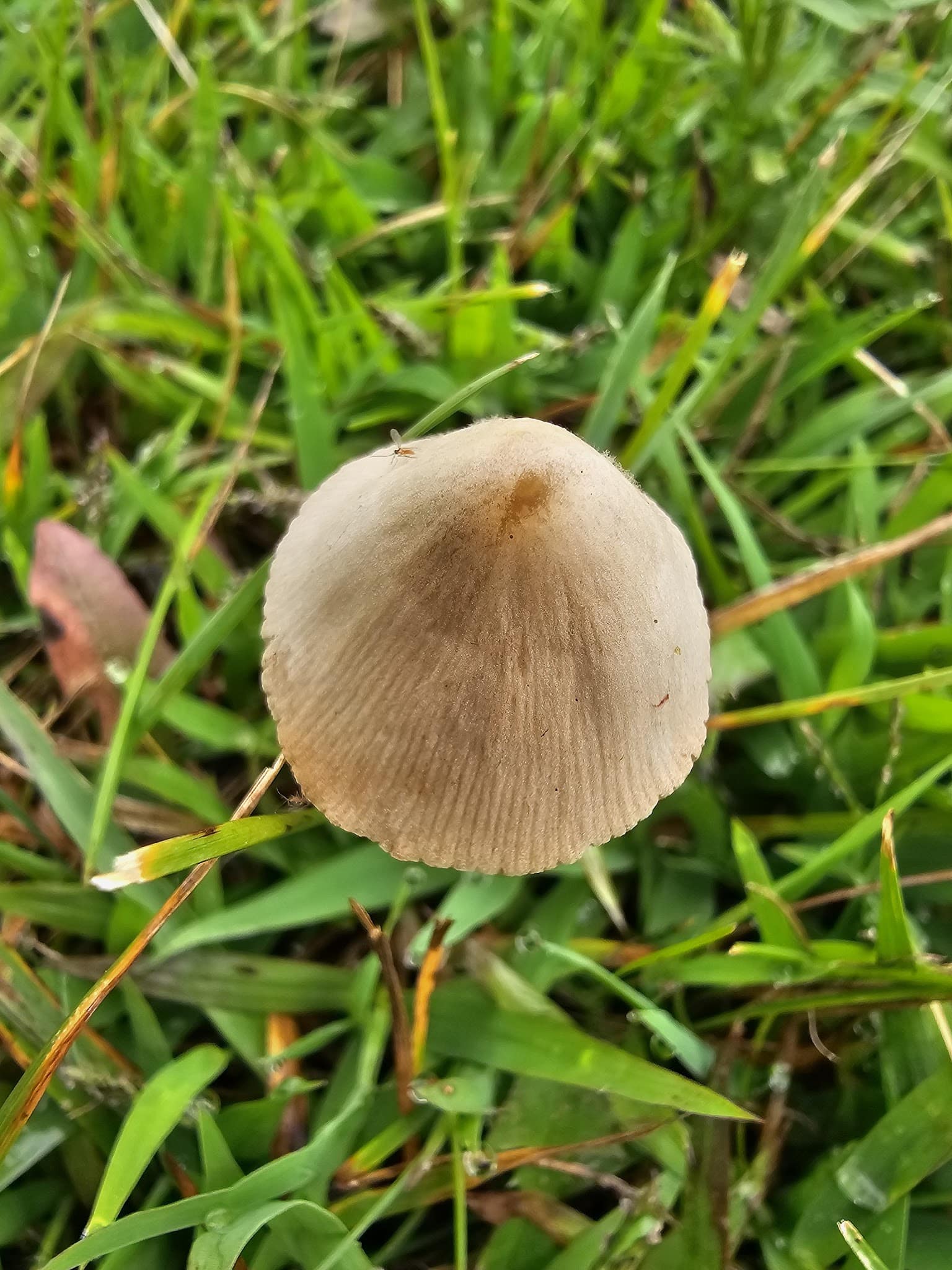 Mexico Rec Park - Mexico, ME