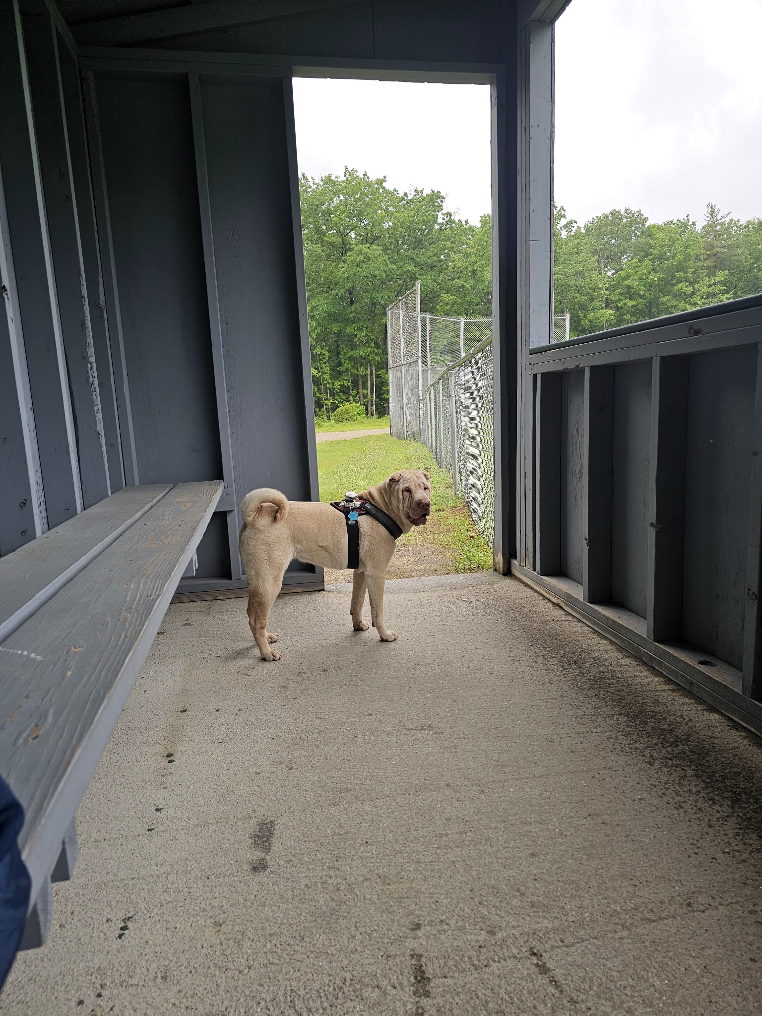 Mexico Rec Park - Mexico, ME