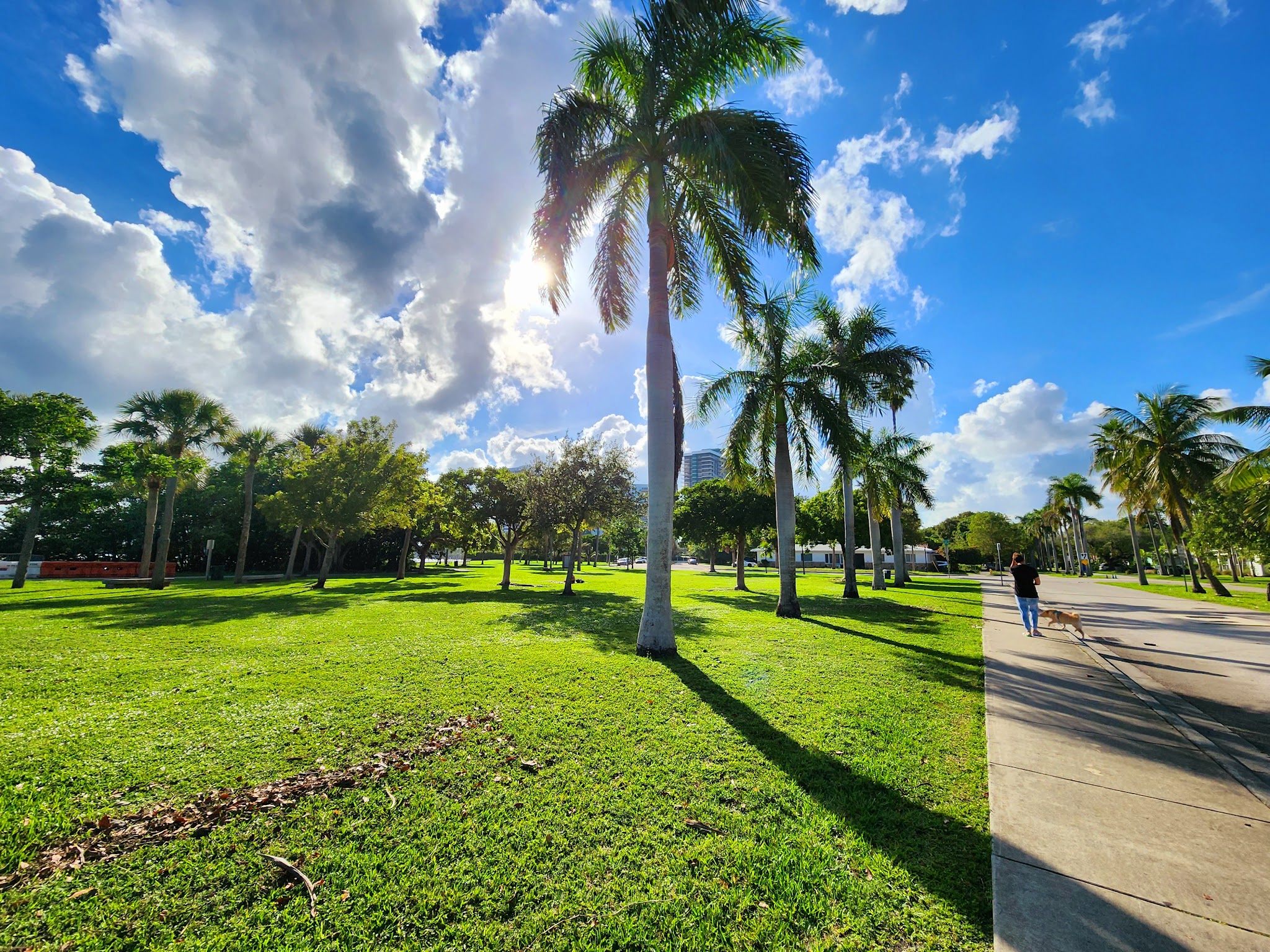 Baywood Park - Miami, FL