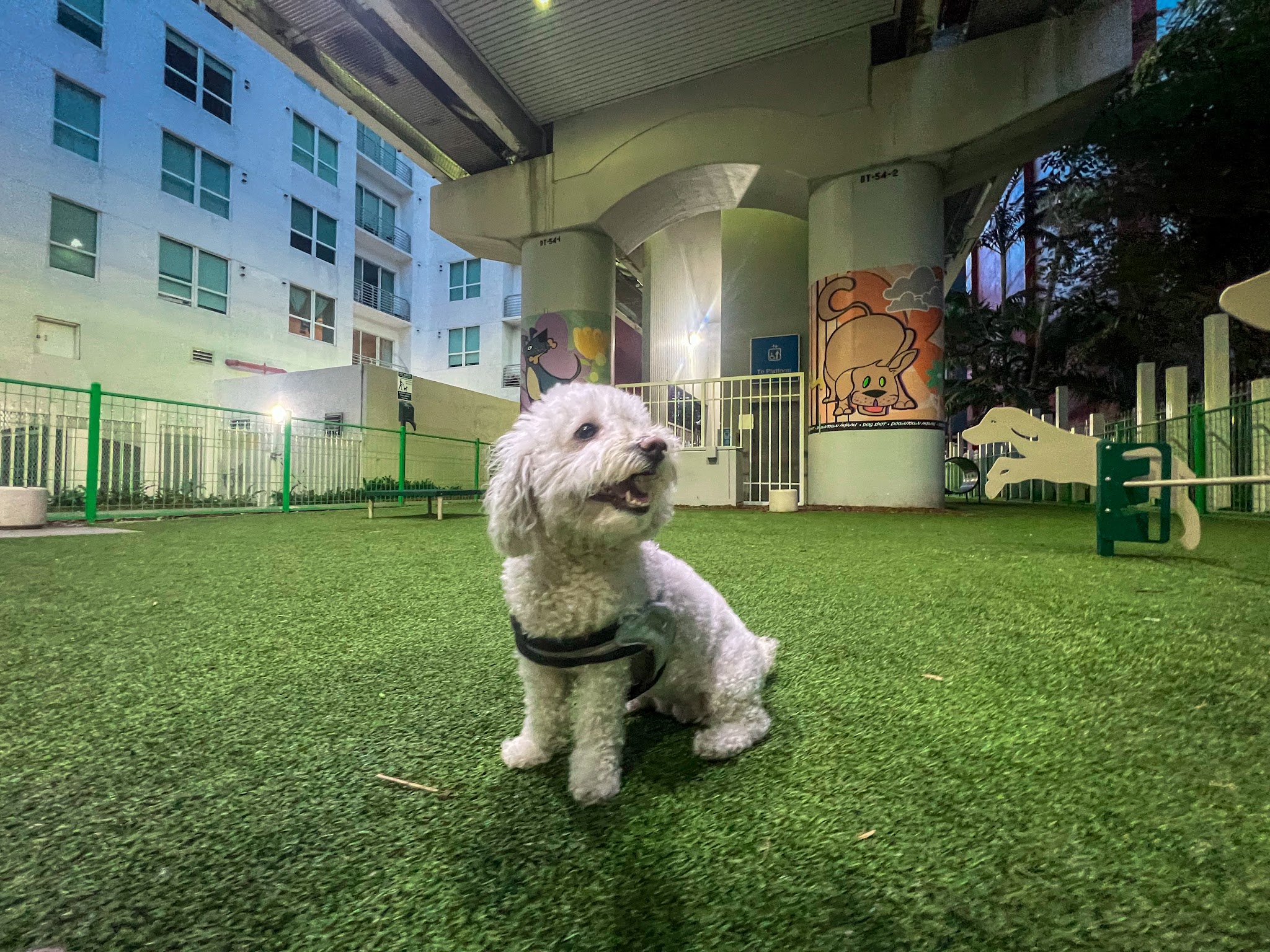 Biscuit’s Dog Park - Miami, FL