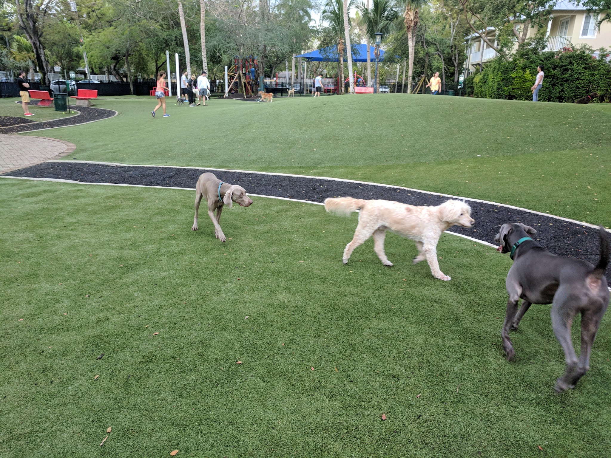 Blanche Park - Miami, FL