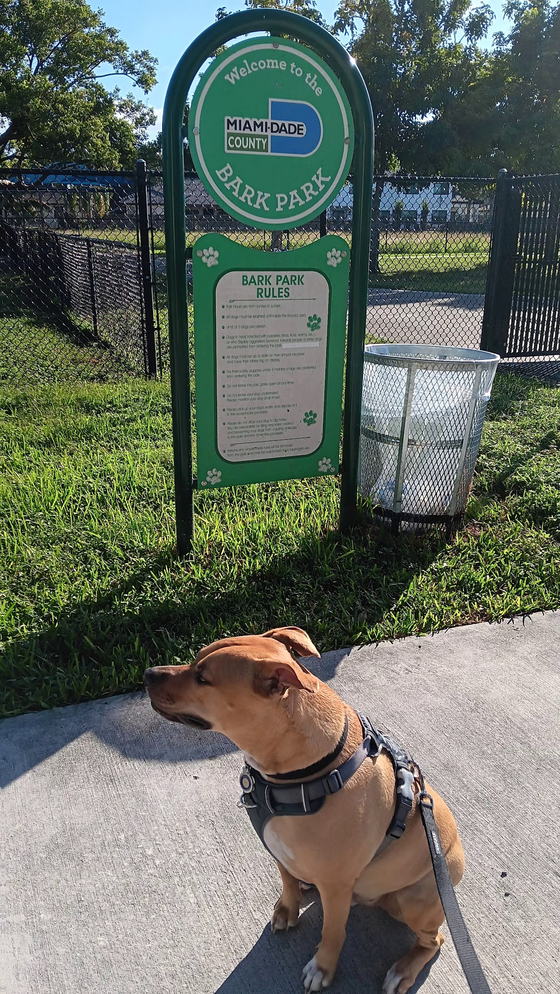 Dog Park - Miami, FL
