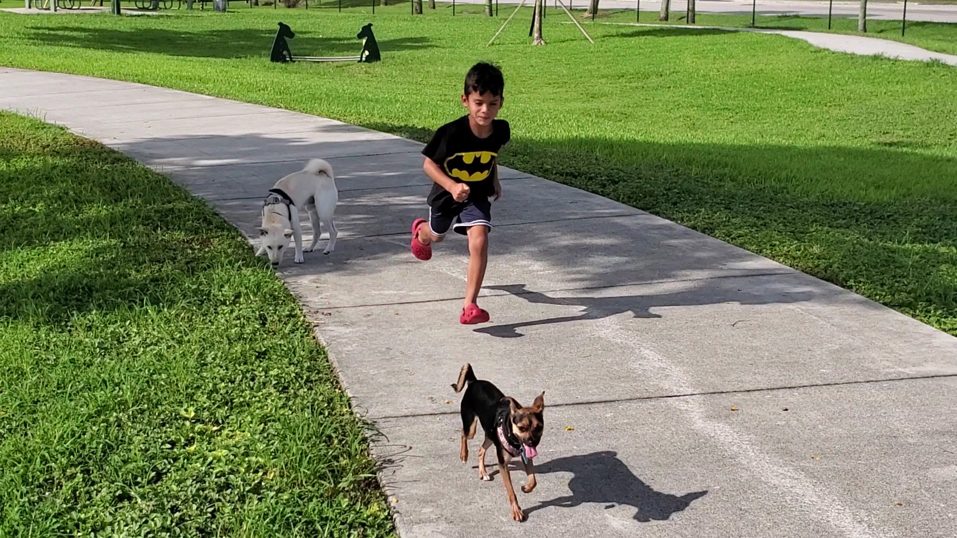Dog Park - Miami, FL