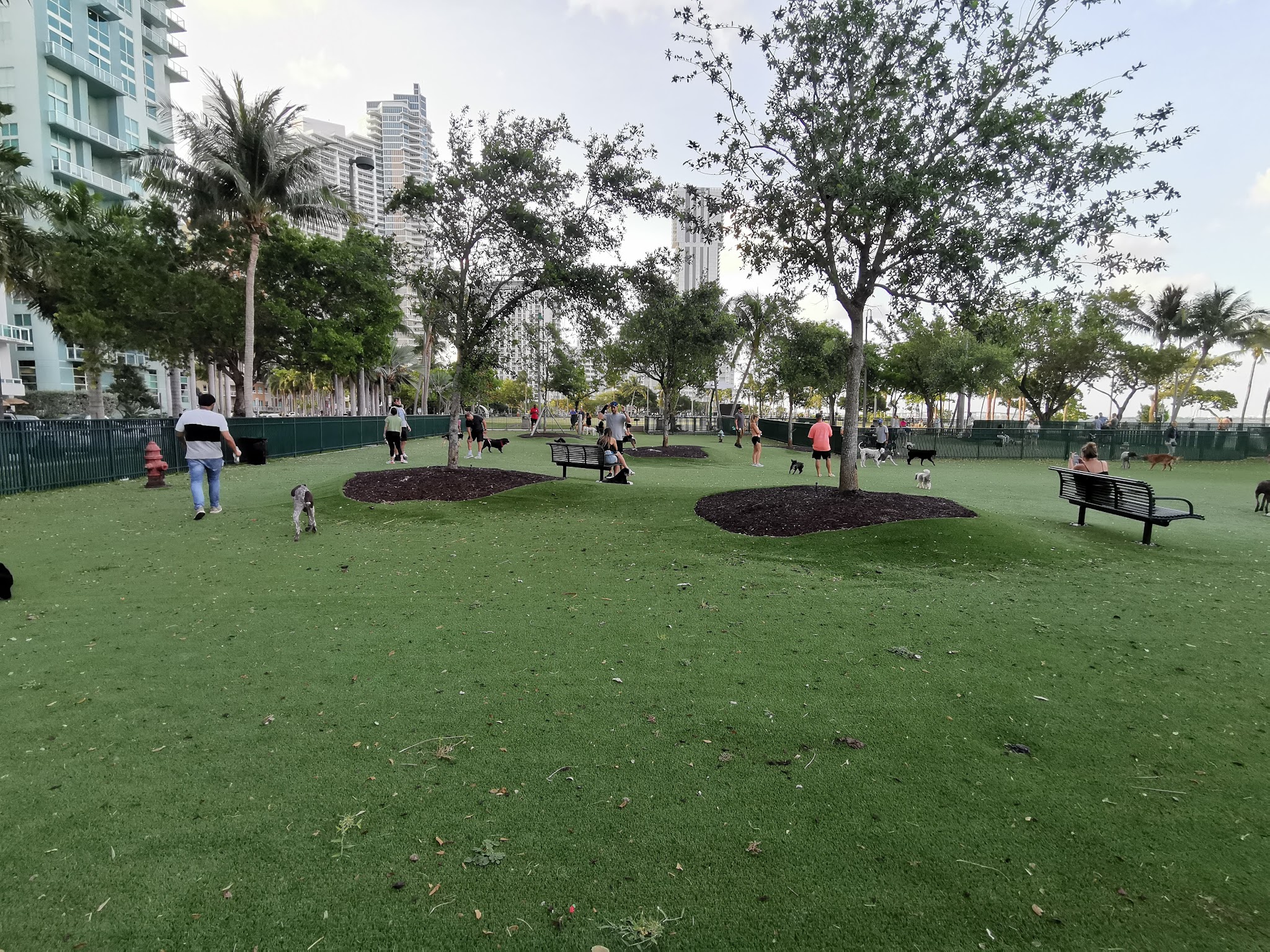 Dog Park - Margaret Pace Park - Miami, FL