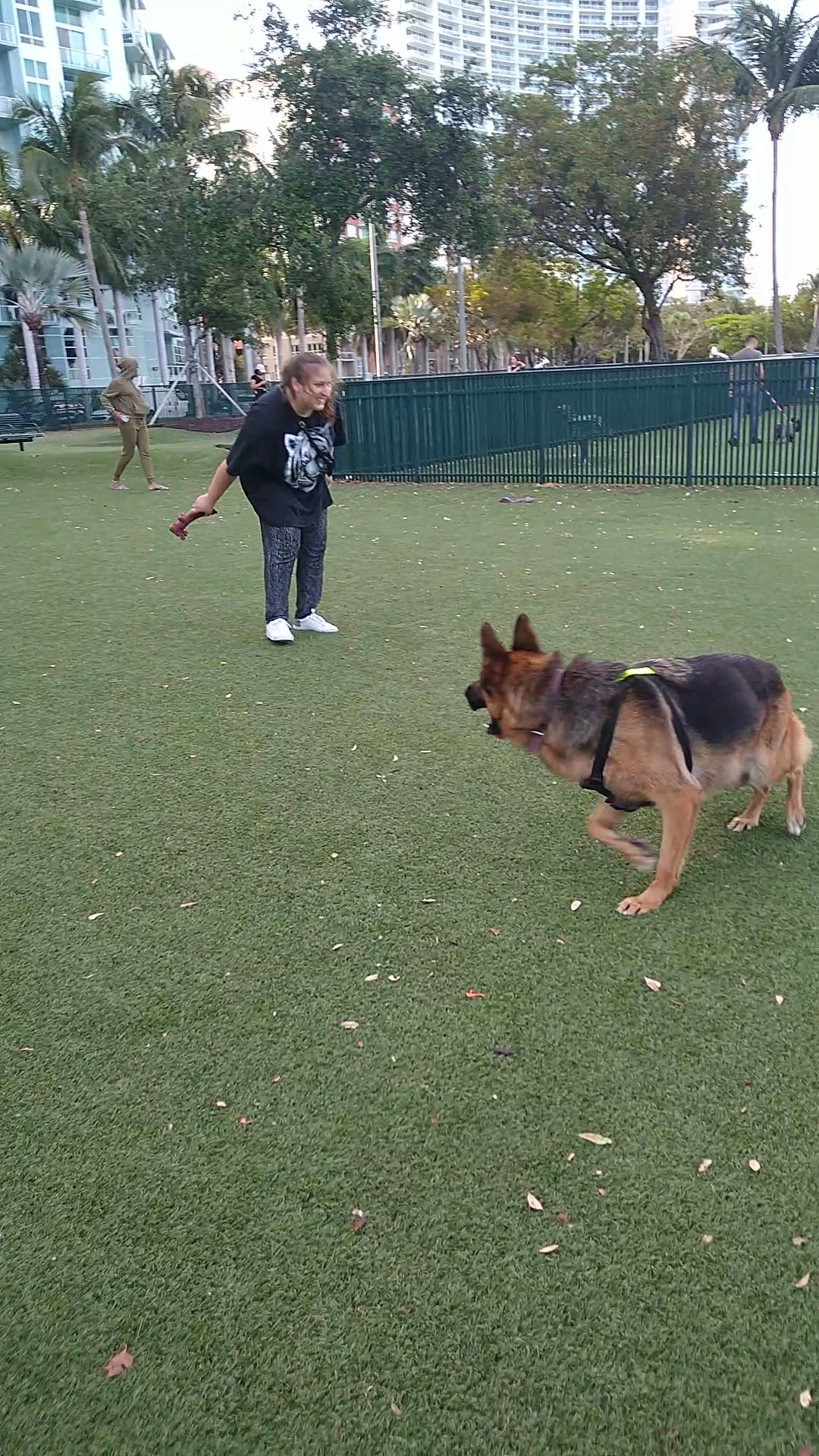Dog Park - Margaret Pace Park - Miami, FL