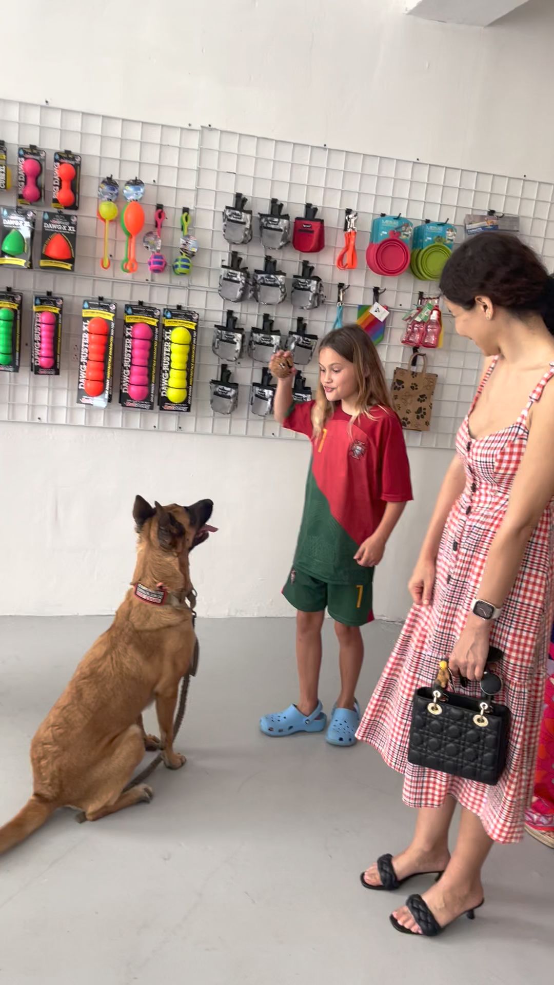 K9 Off Leash - Miami, FL