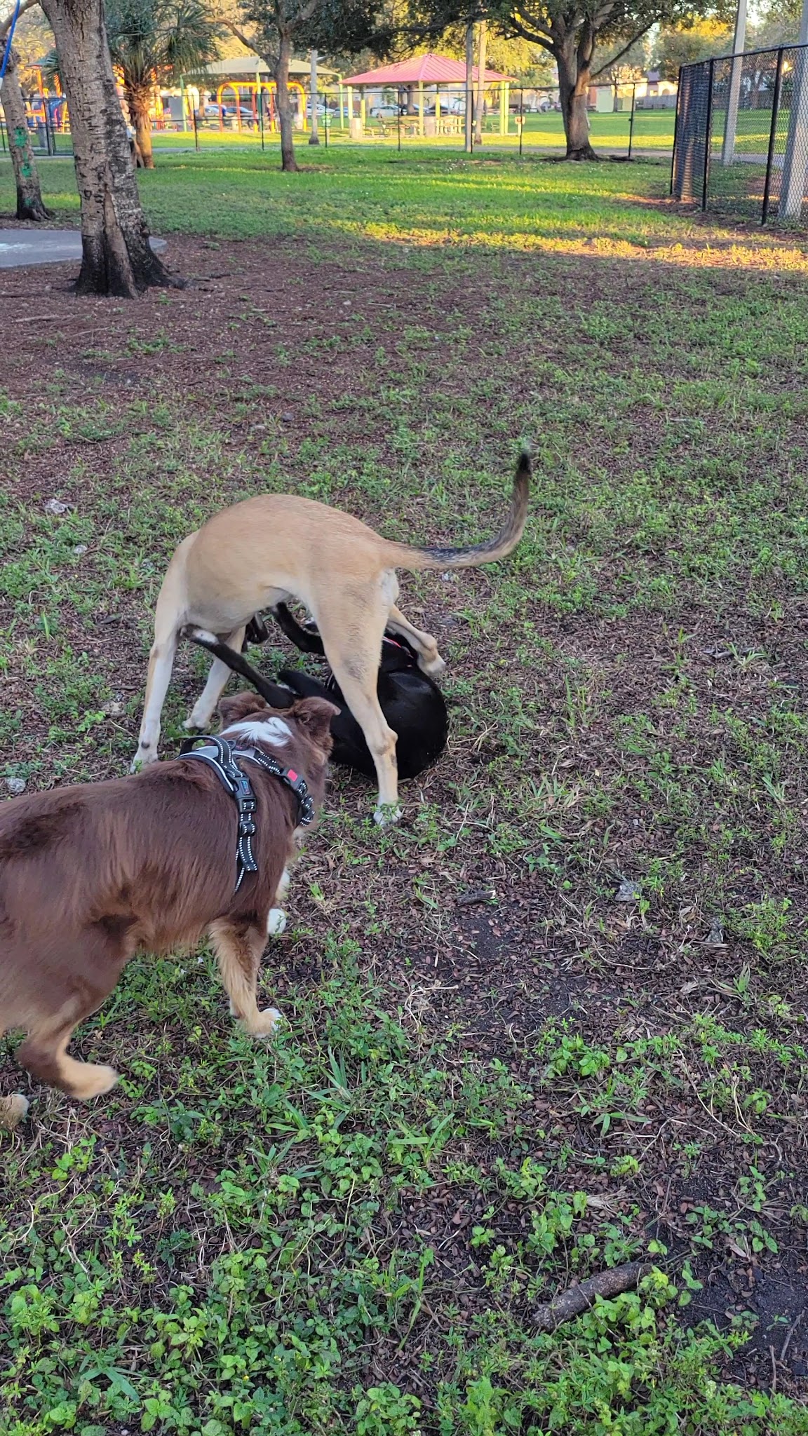 Lago Mar Park - Miami, FL