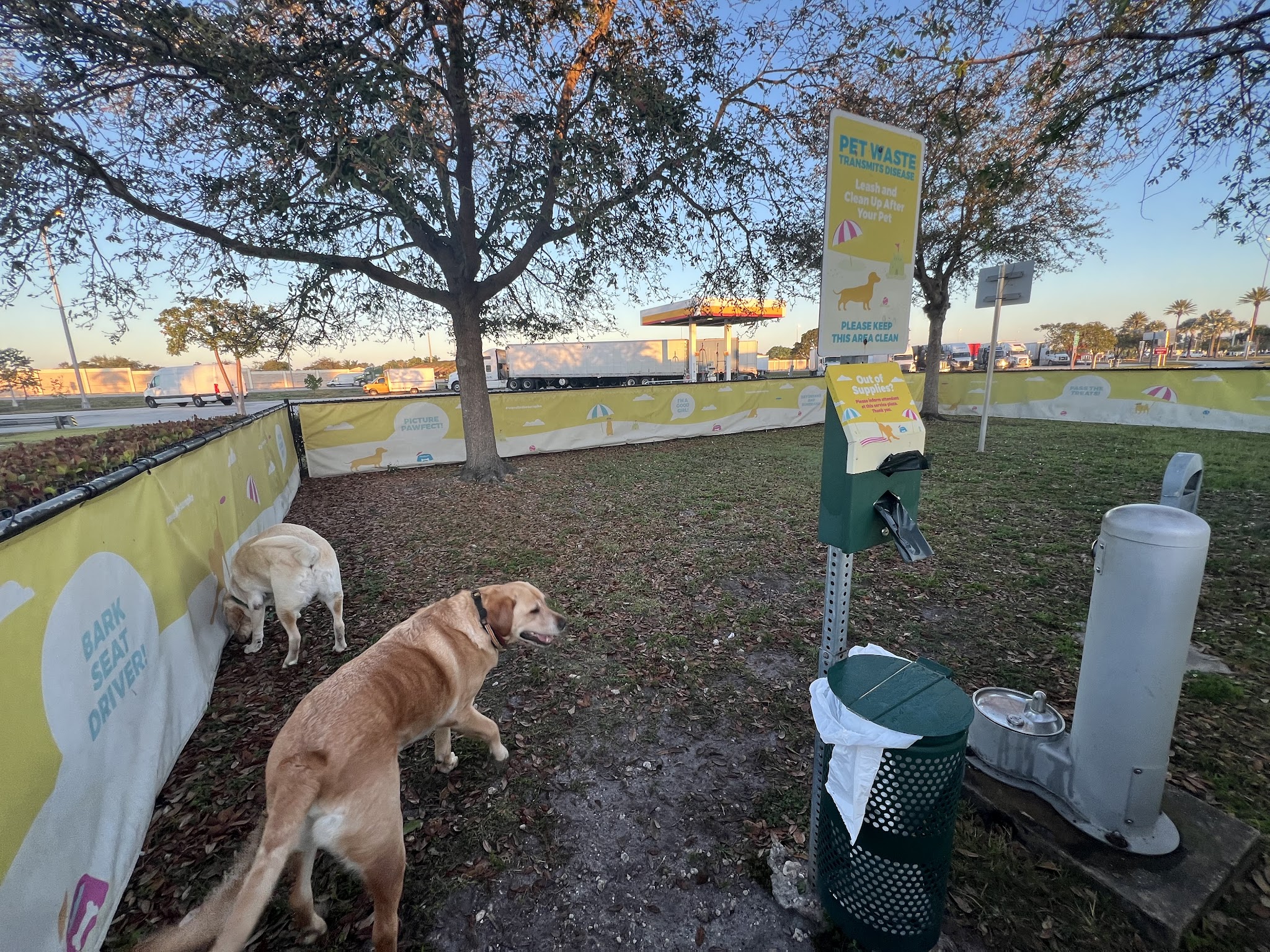 Pet Park - Miami, FL