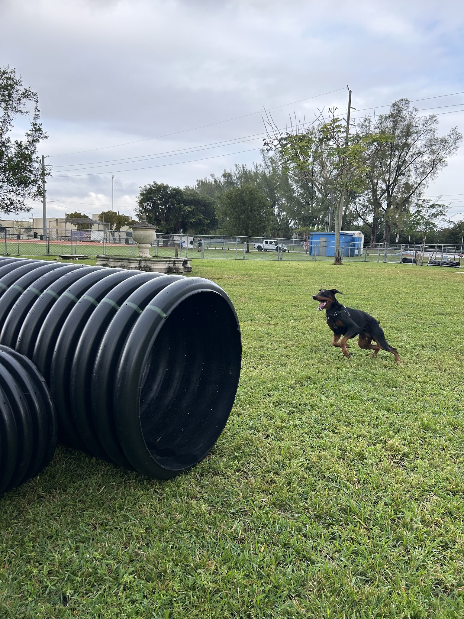 Miami Springs Dog Park - Miami Springs, FL