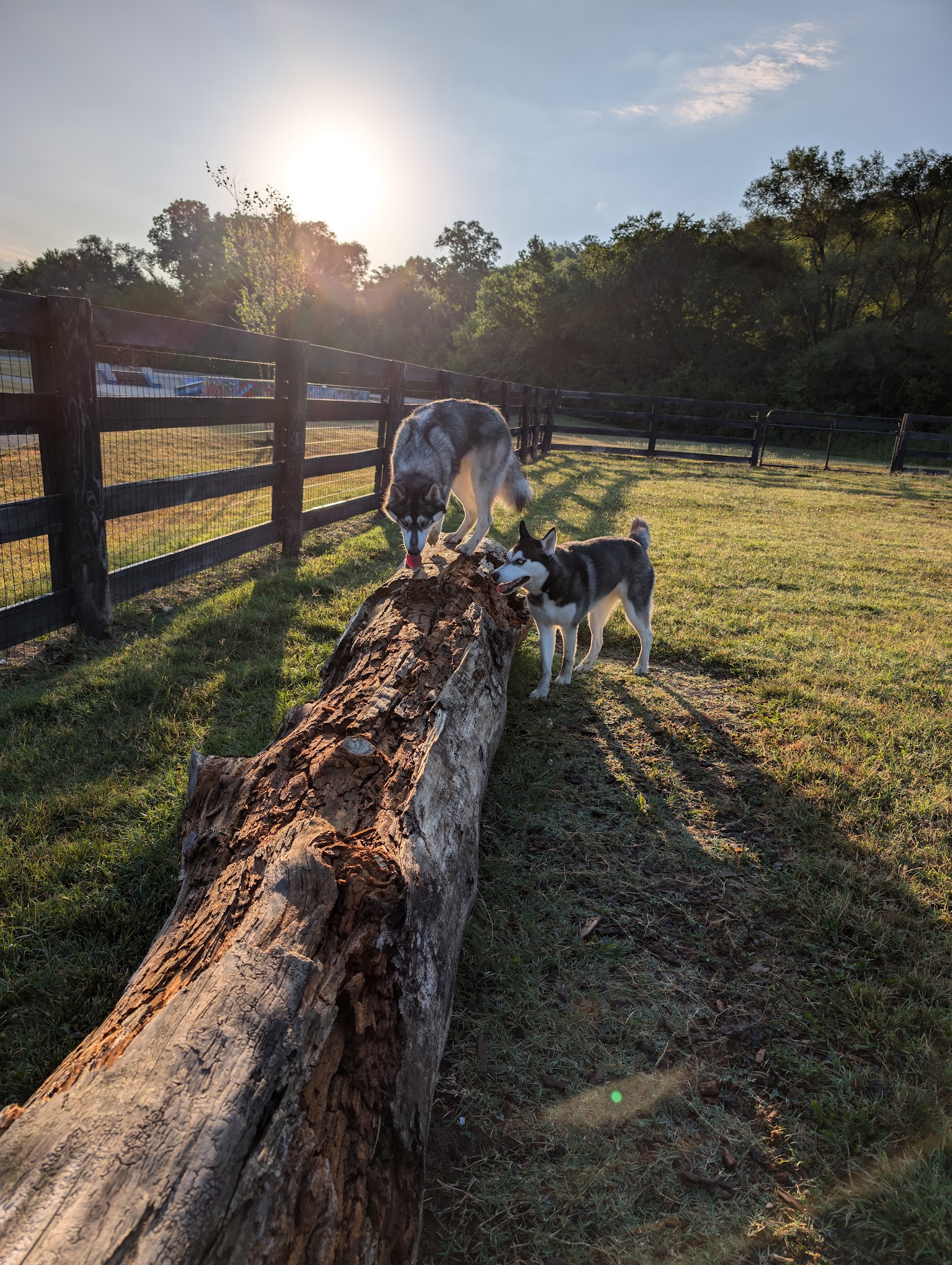 Canal Run Dog Park - Miamisburg, OH