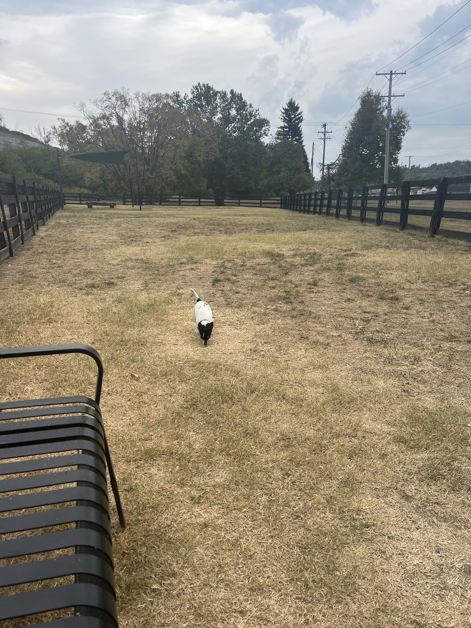 Canal Run Dog Park - Miamisburg, OH