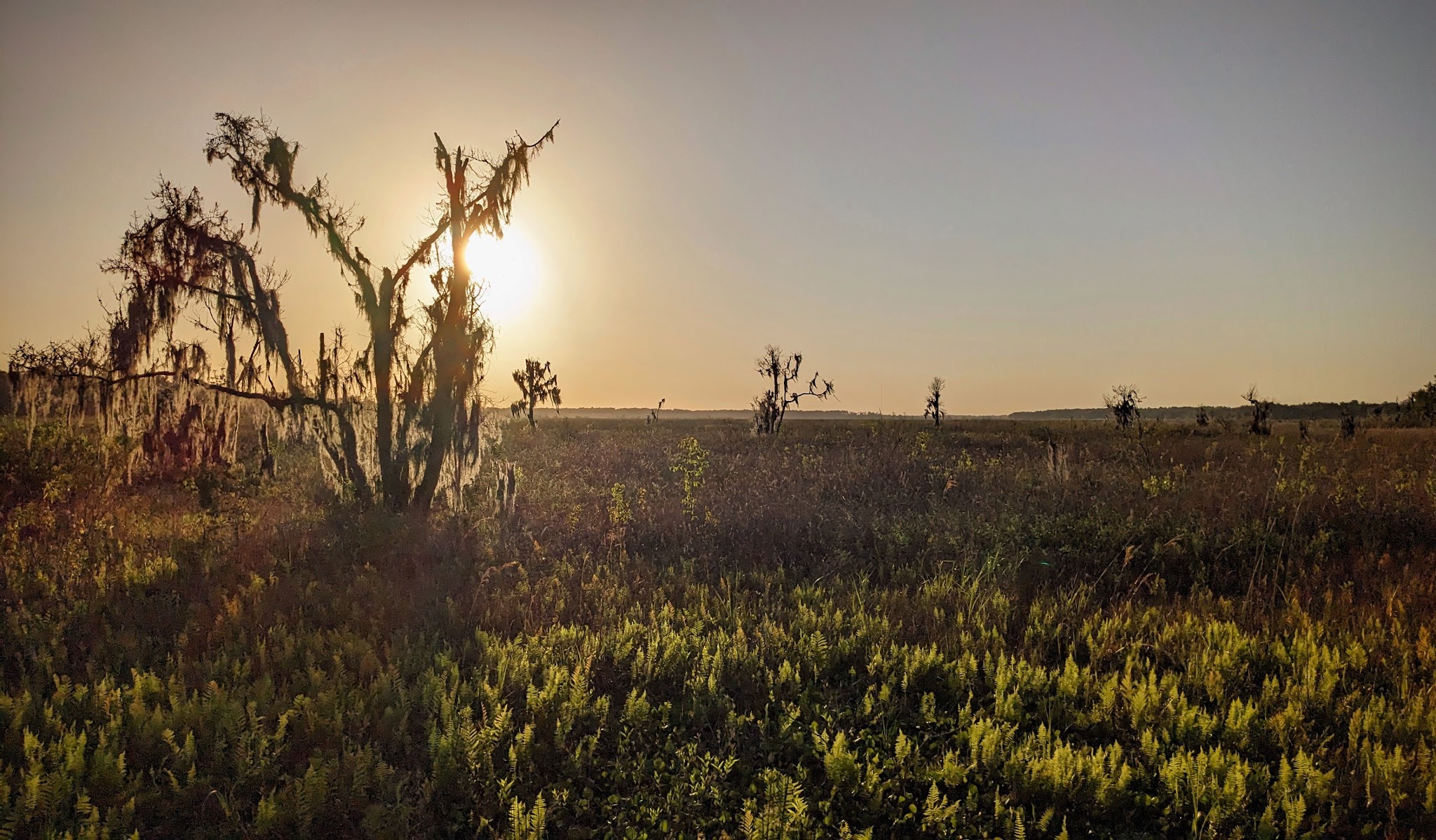 Levy Loop Trailhead - Micanopy, FL