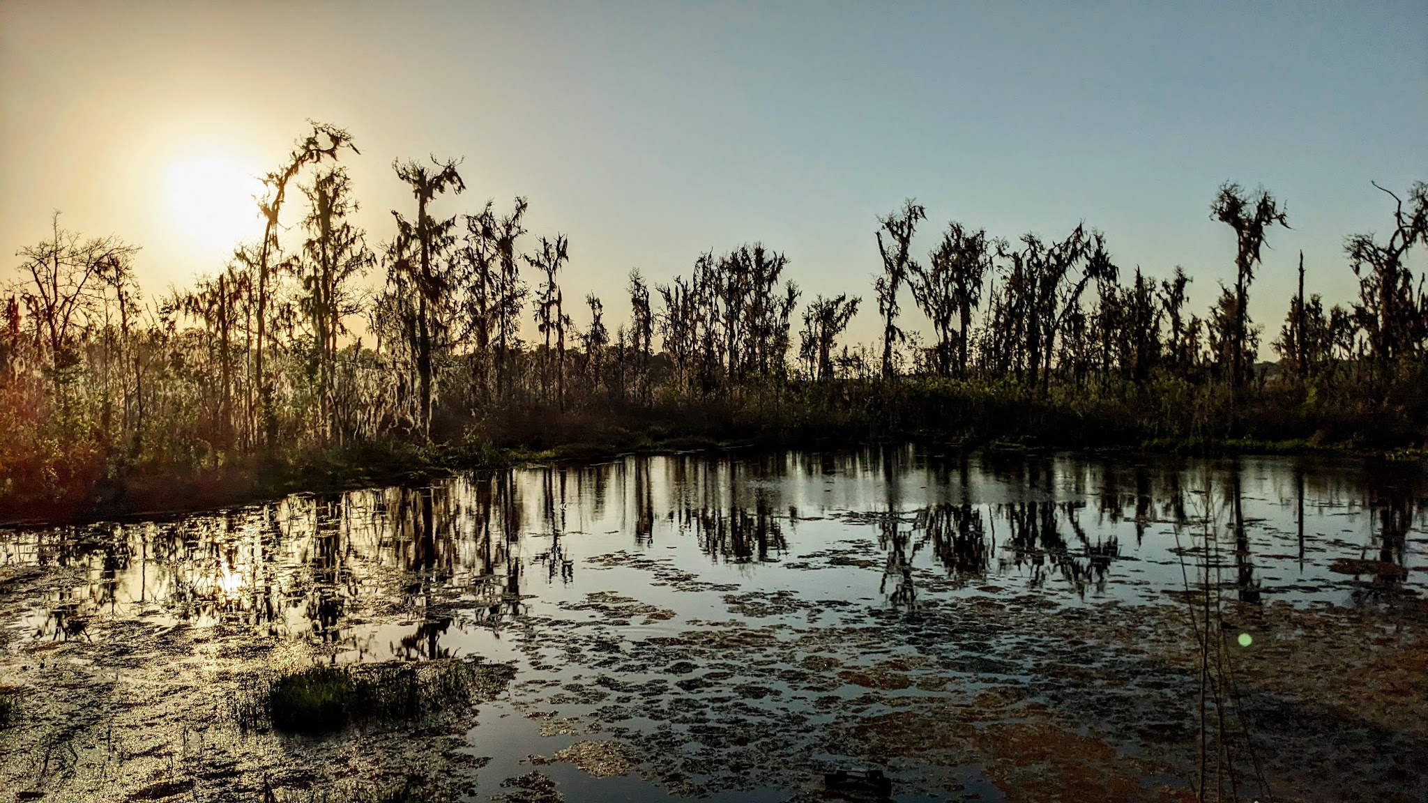 Levy Loop Trailhead - Micanopy, FL