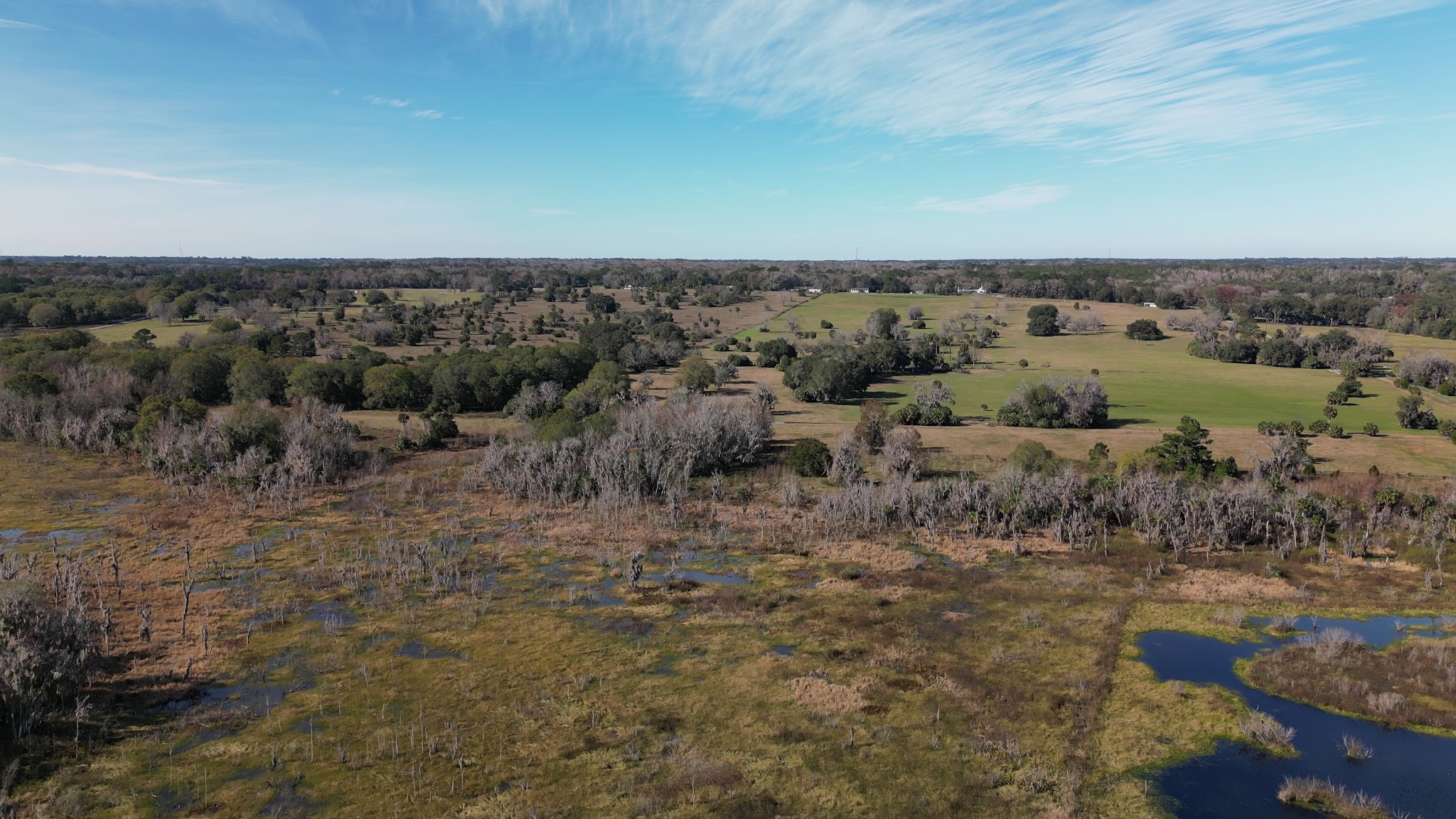 Marjorie A. Hoy Memorial Park at Orange Lake Overlook - Micanopy, FL