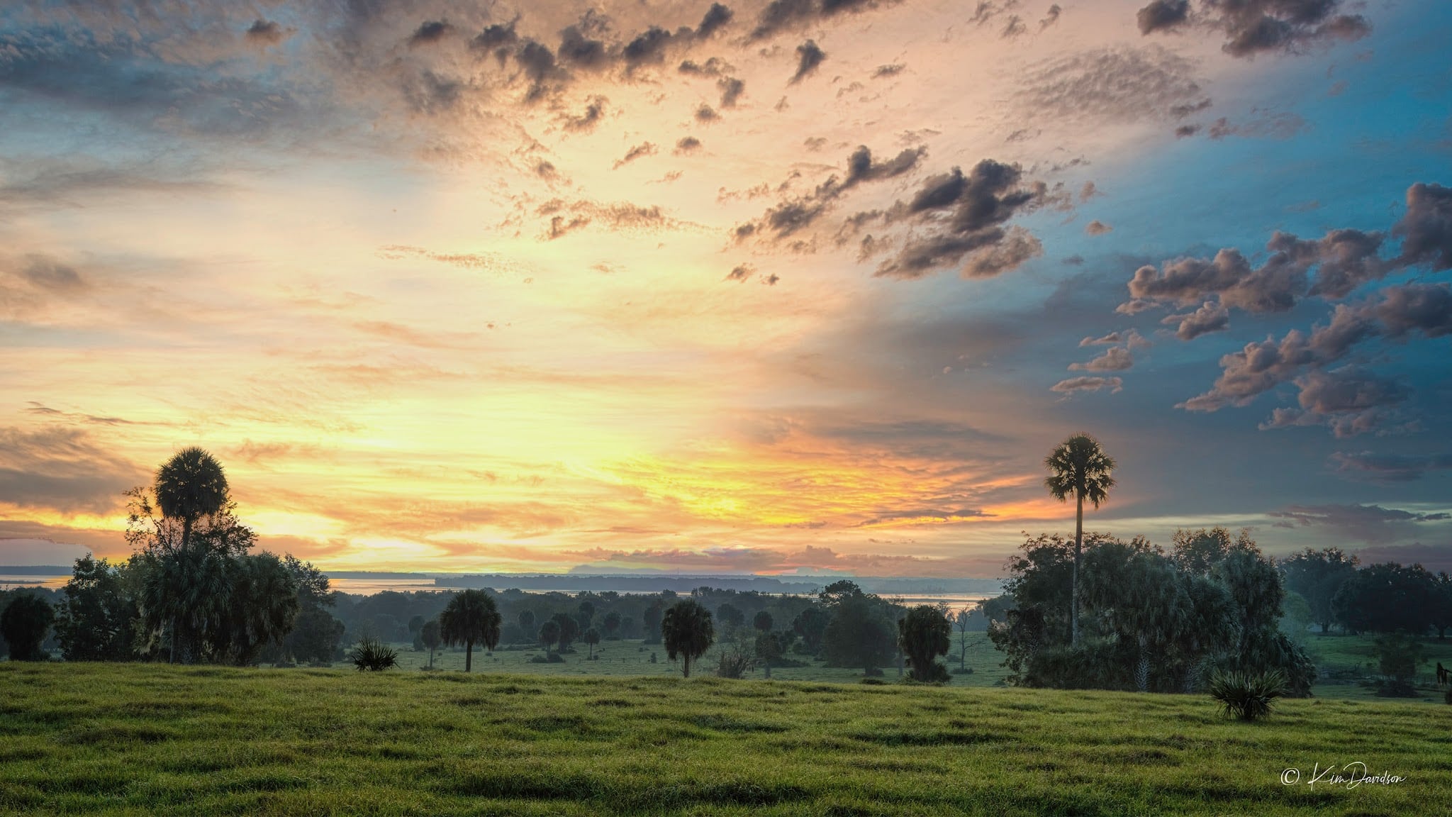 Marjorie A. Hoy Memorial Park at Orange Lake Overlook - Micanopy, FL