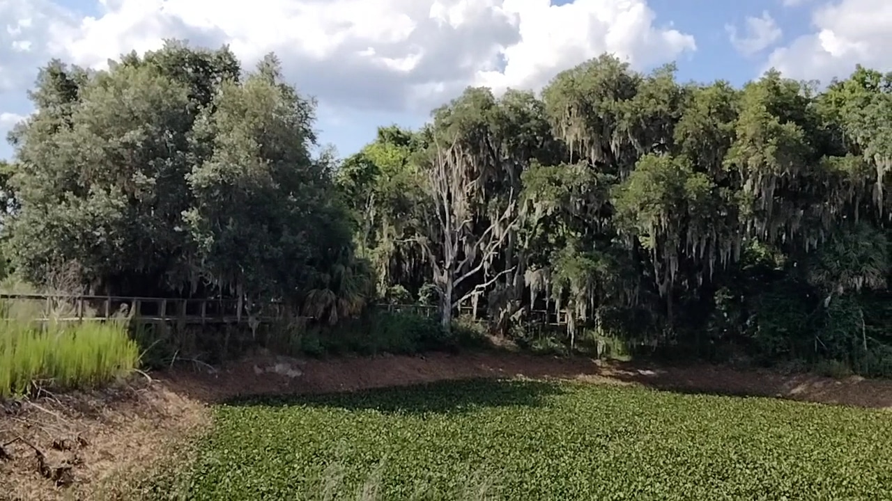 Paynes Prairie Preserve State Park - Micanopy, FL