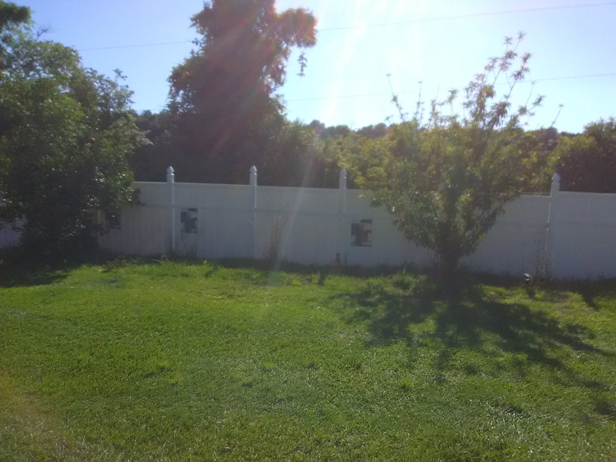 Micanopy paradise pets - ,