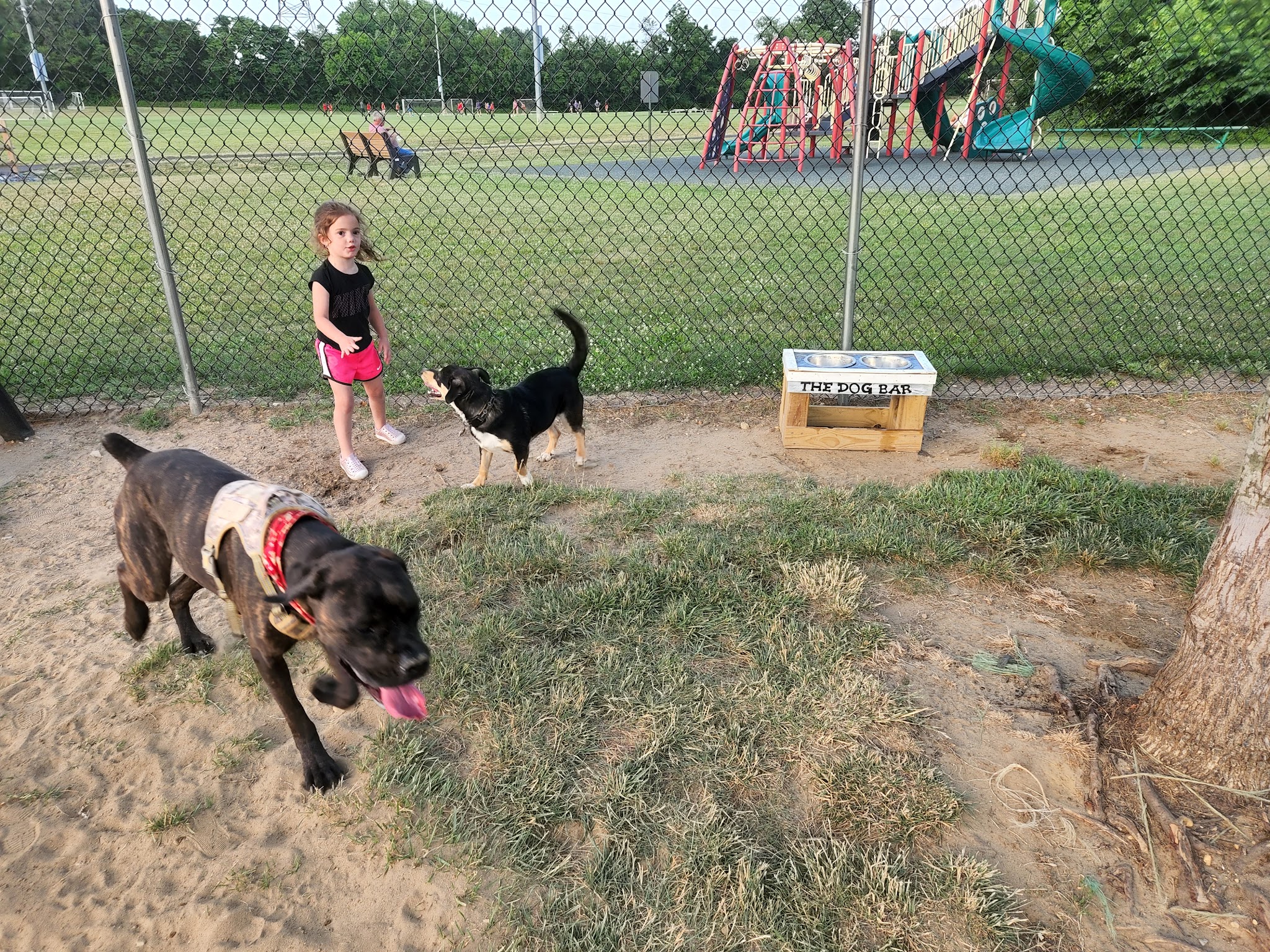 Thompson Family Park - Mickleton, NJ