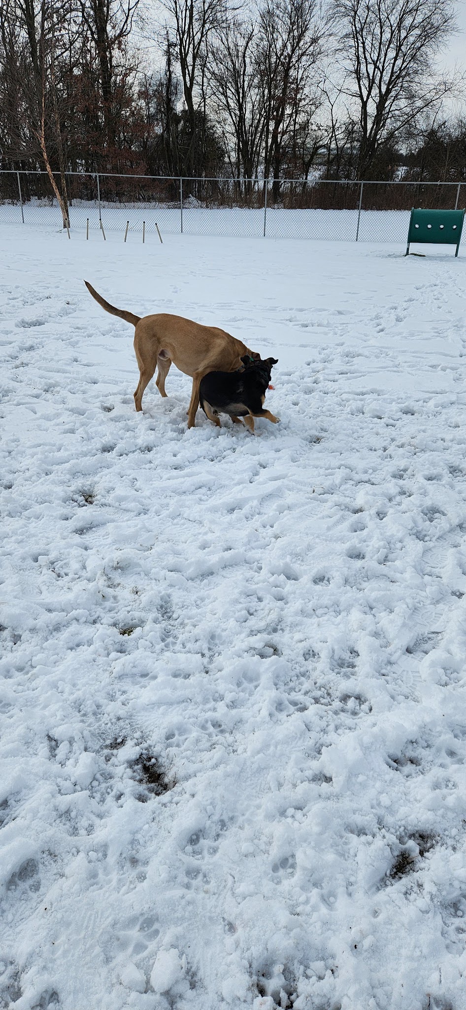 Thompson Family Park - Mickleton, NJ
