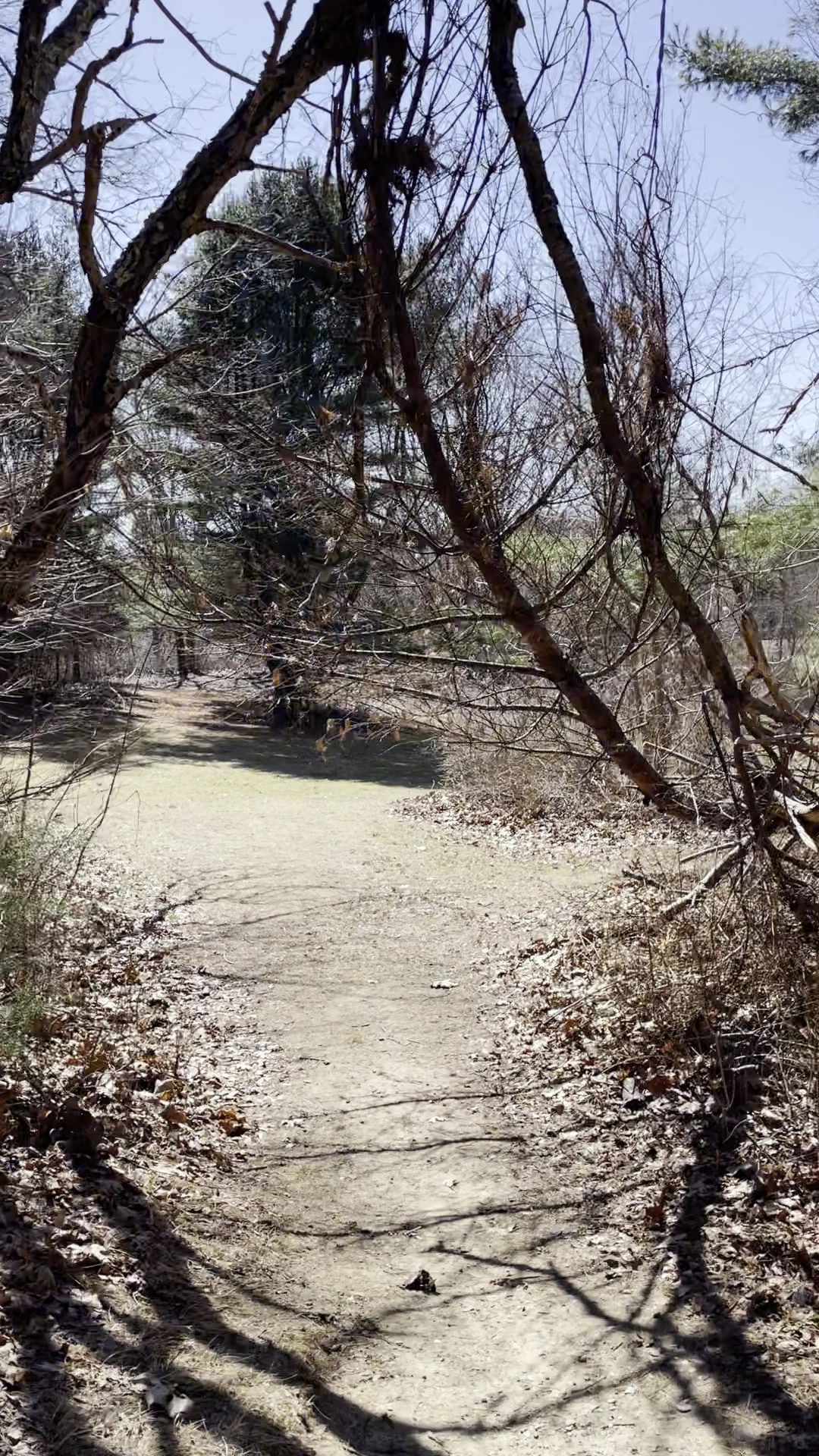 Pratt Farm - Middleborough, MA