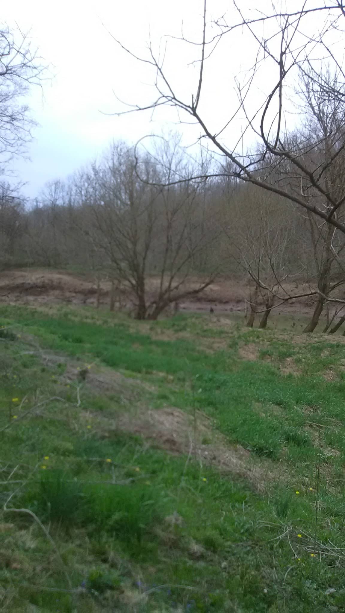 Middlebourne Park - Middlebourne, WV