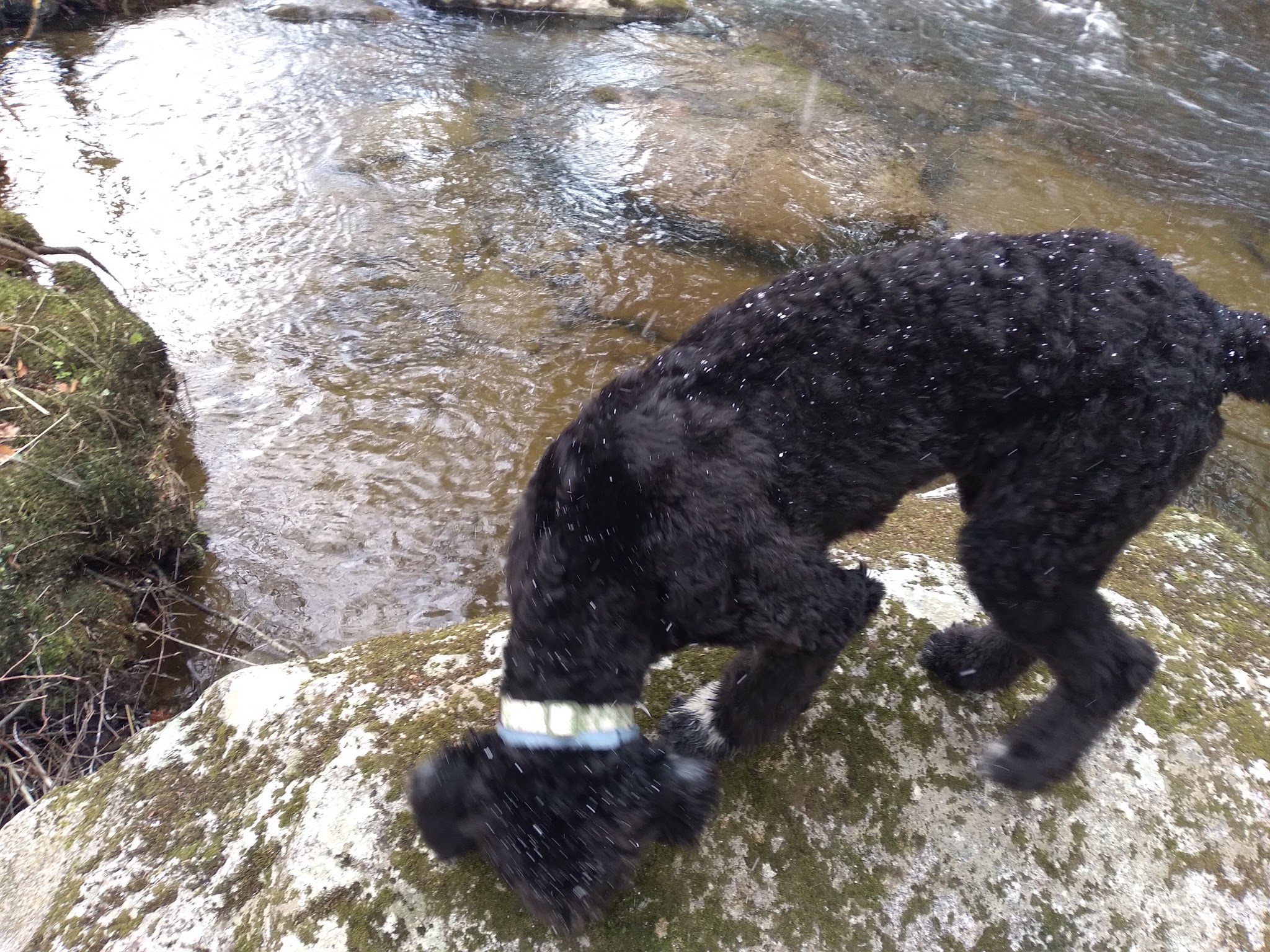 Middlefield - Middlefield, MA