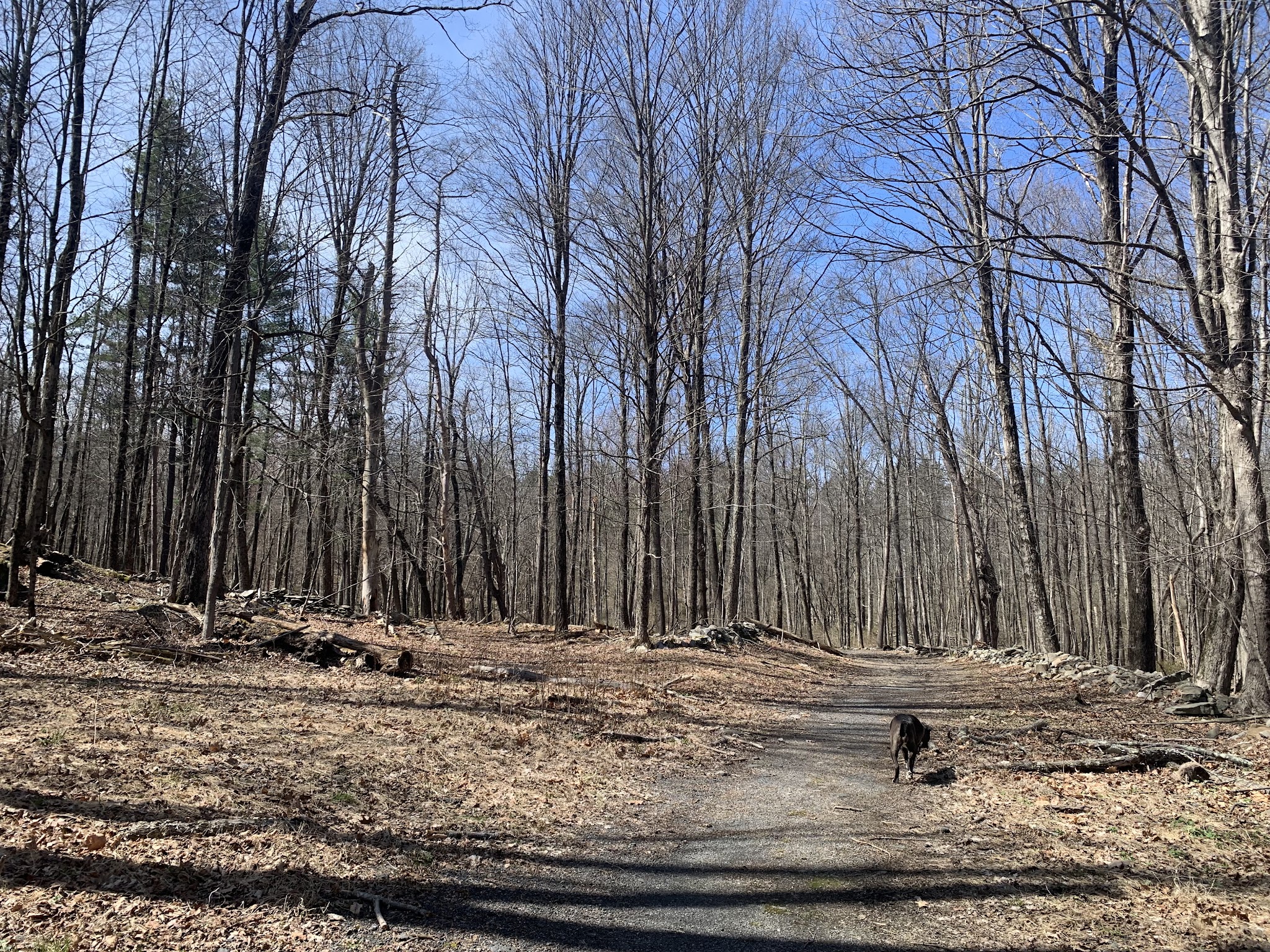 Middletown Reservoir Trails Main Parking - Middletown, NY