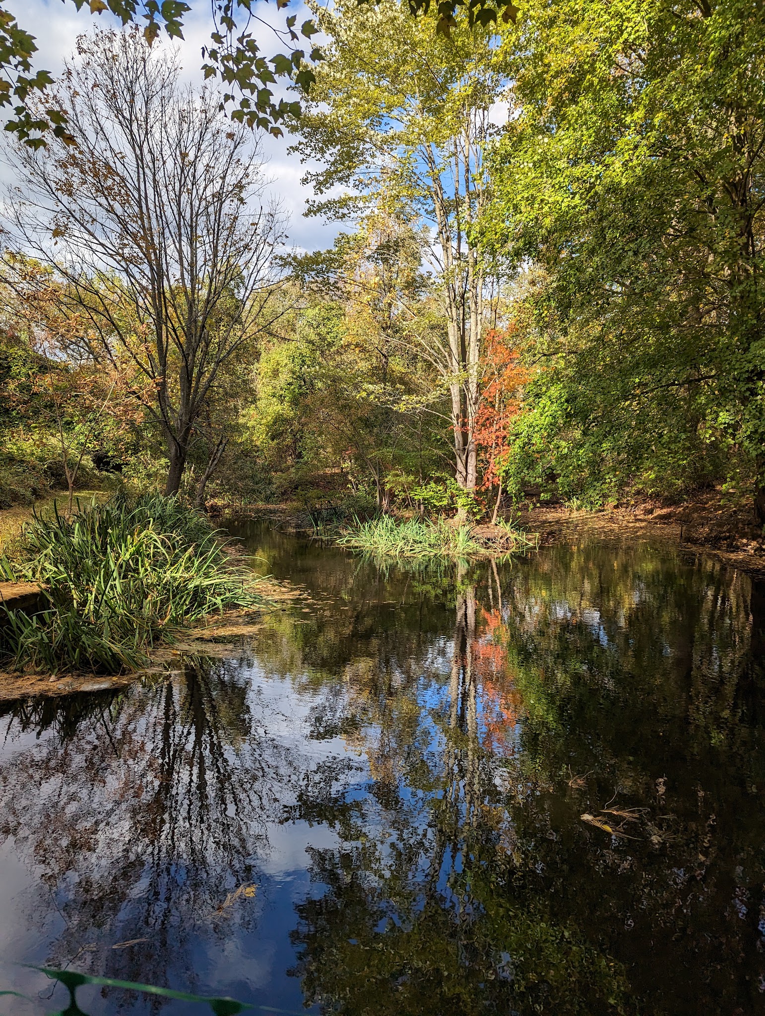 Poricy Park Nature Center - Middletown Township, NJ