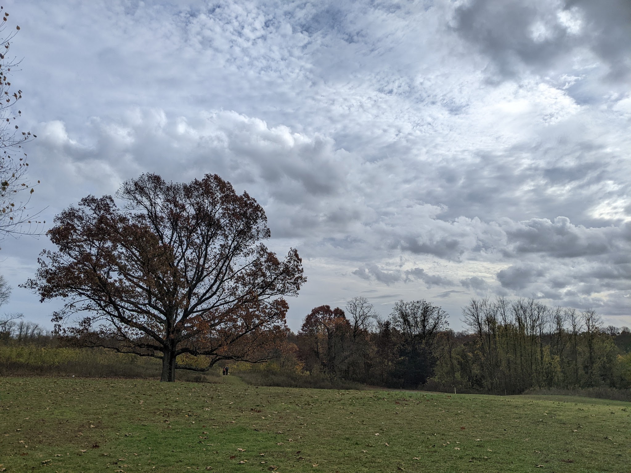 Poricy Park Nature Center - Middletown Township, NJ