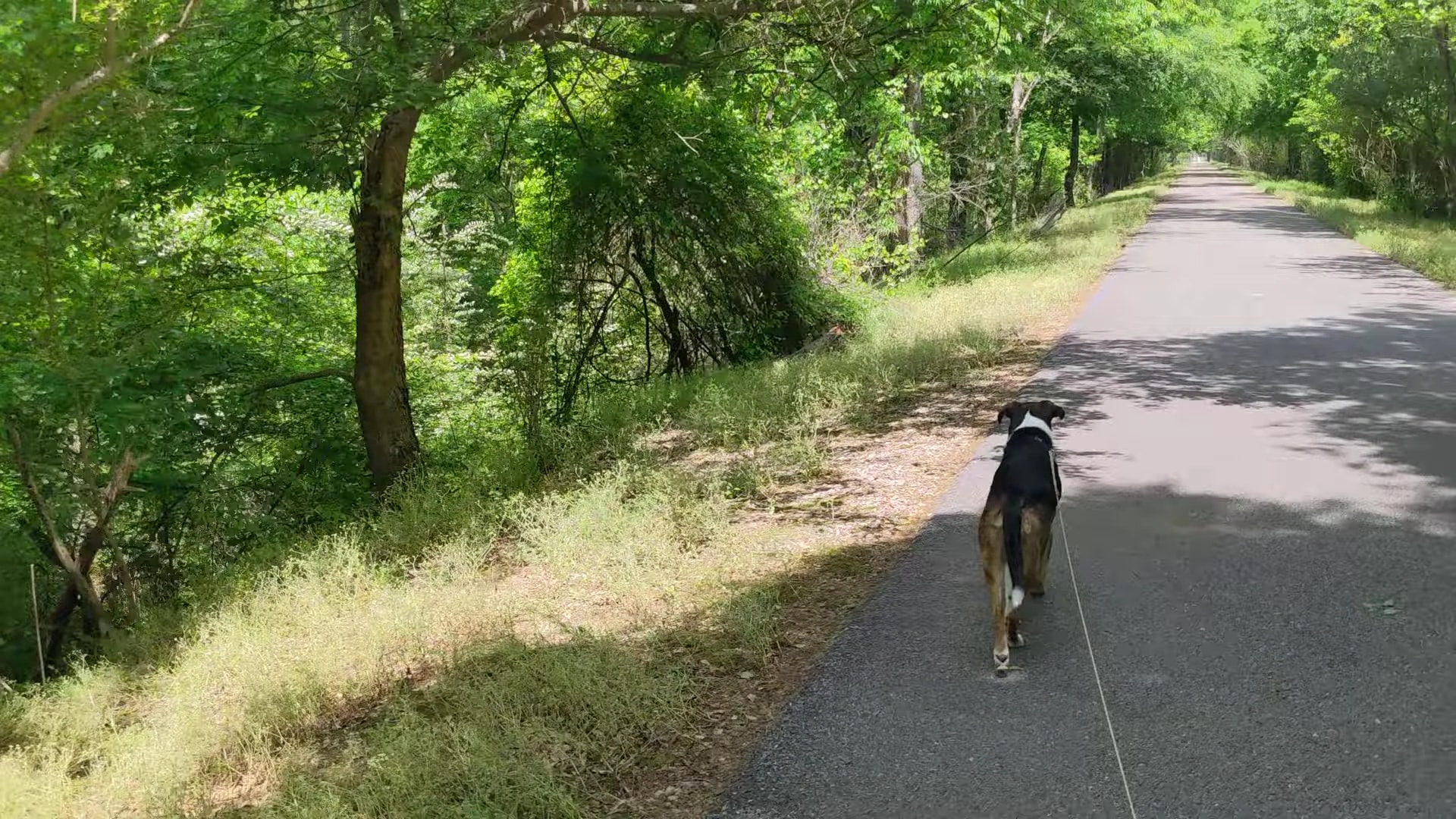 High Ore Line Trail - Midfield, AL