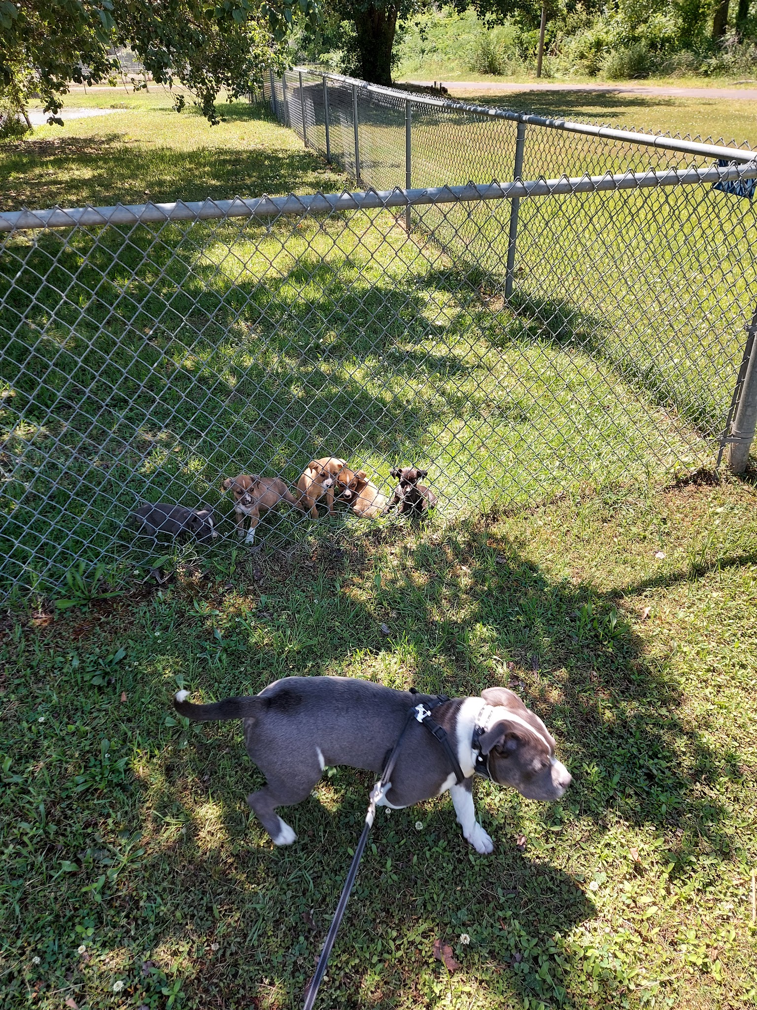 Midfield Park - Midfield, AL