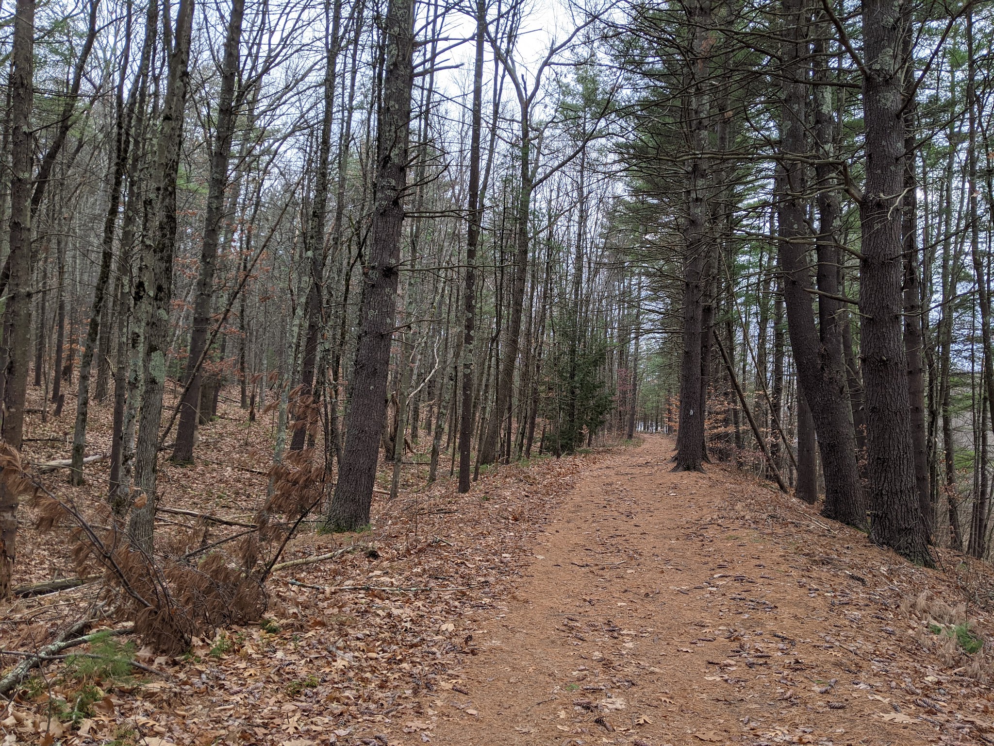 Granite Town Rail Trail - Milford, NH