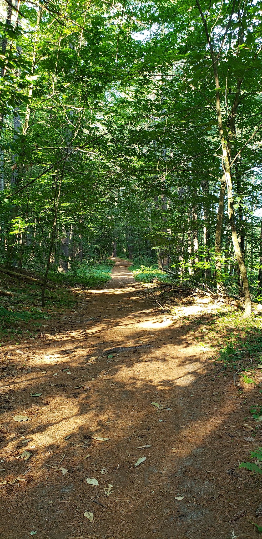 Granite Town Rail Trail Parking - Milford, NH
