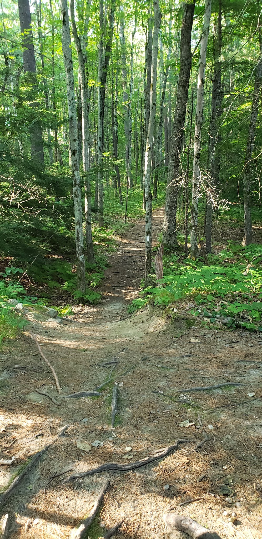 Granite Town Rail Trail Parking - Milford, NH