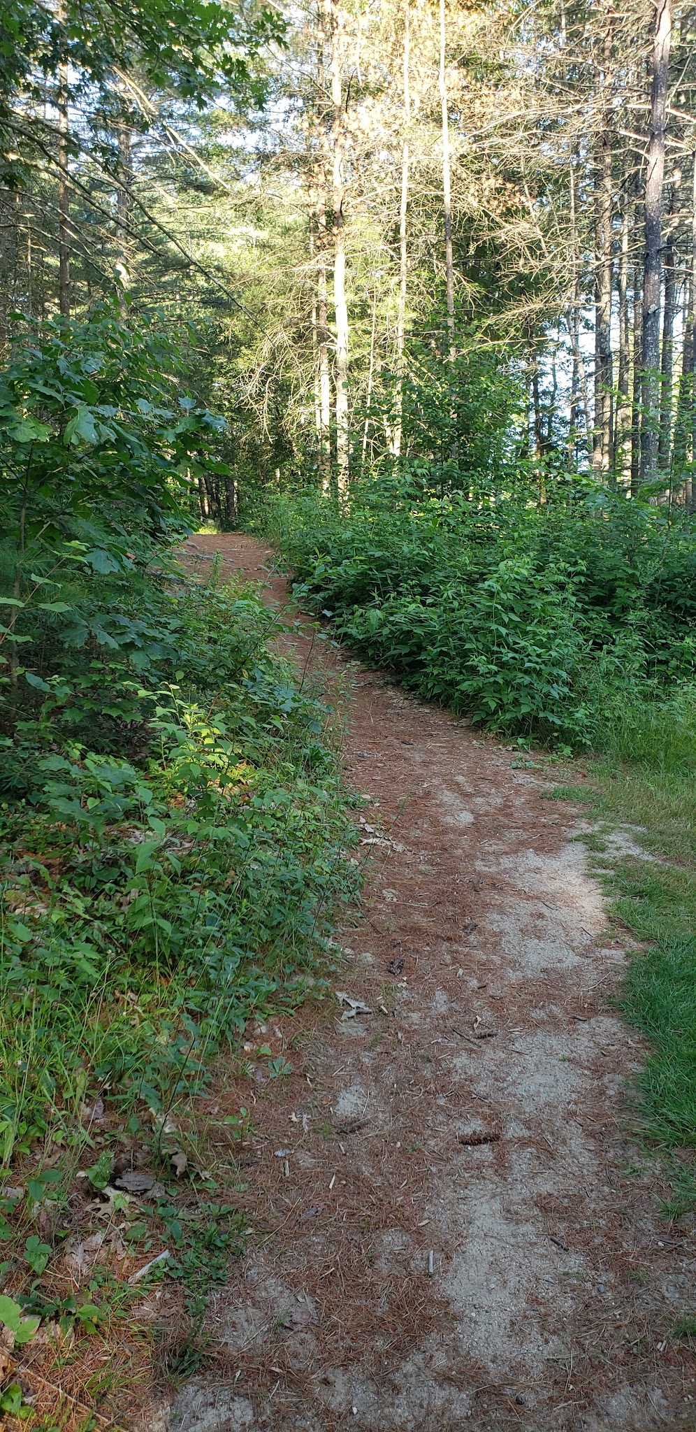 Granite Town Rail Trail Parking - Milford, NH