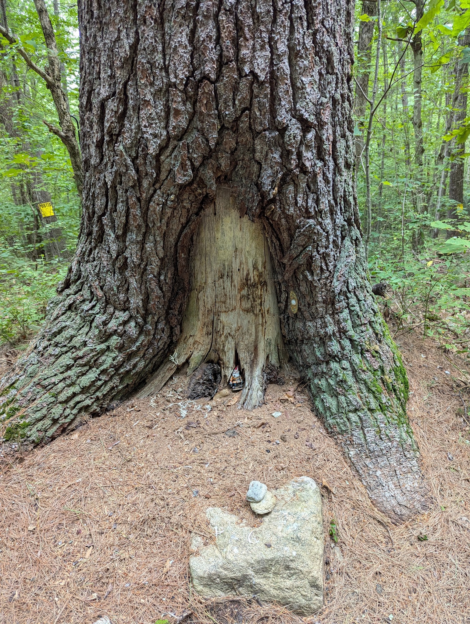 Granite Town Rail Trail - Milford, NH