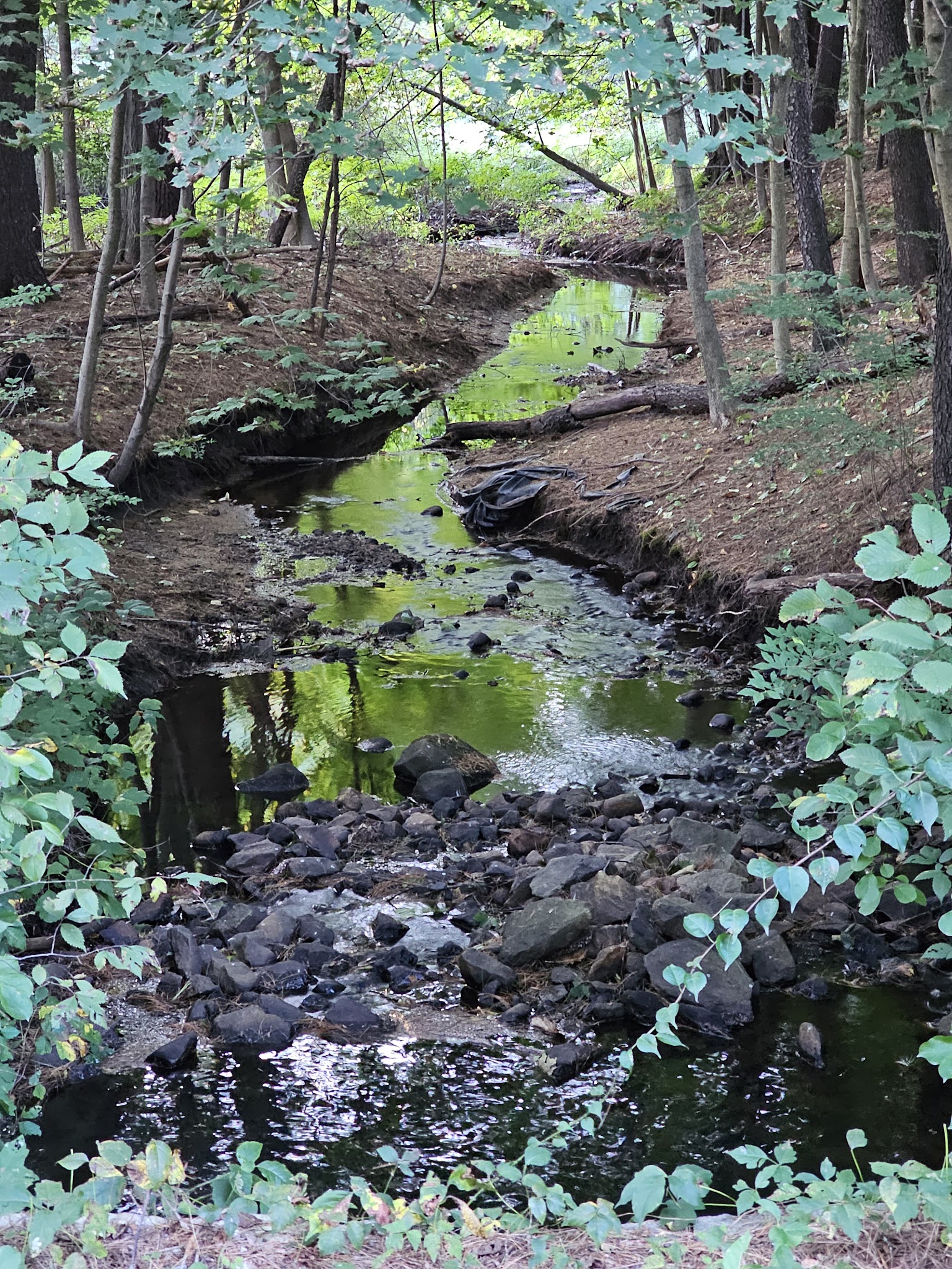 Kaley Park - Milford, NH