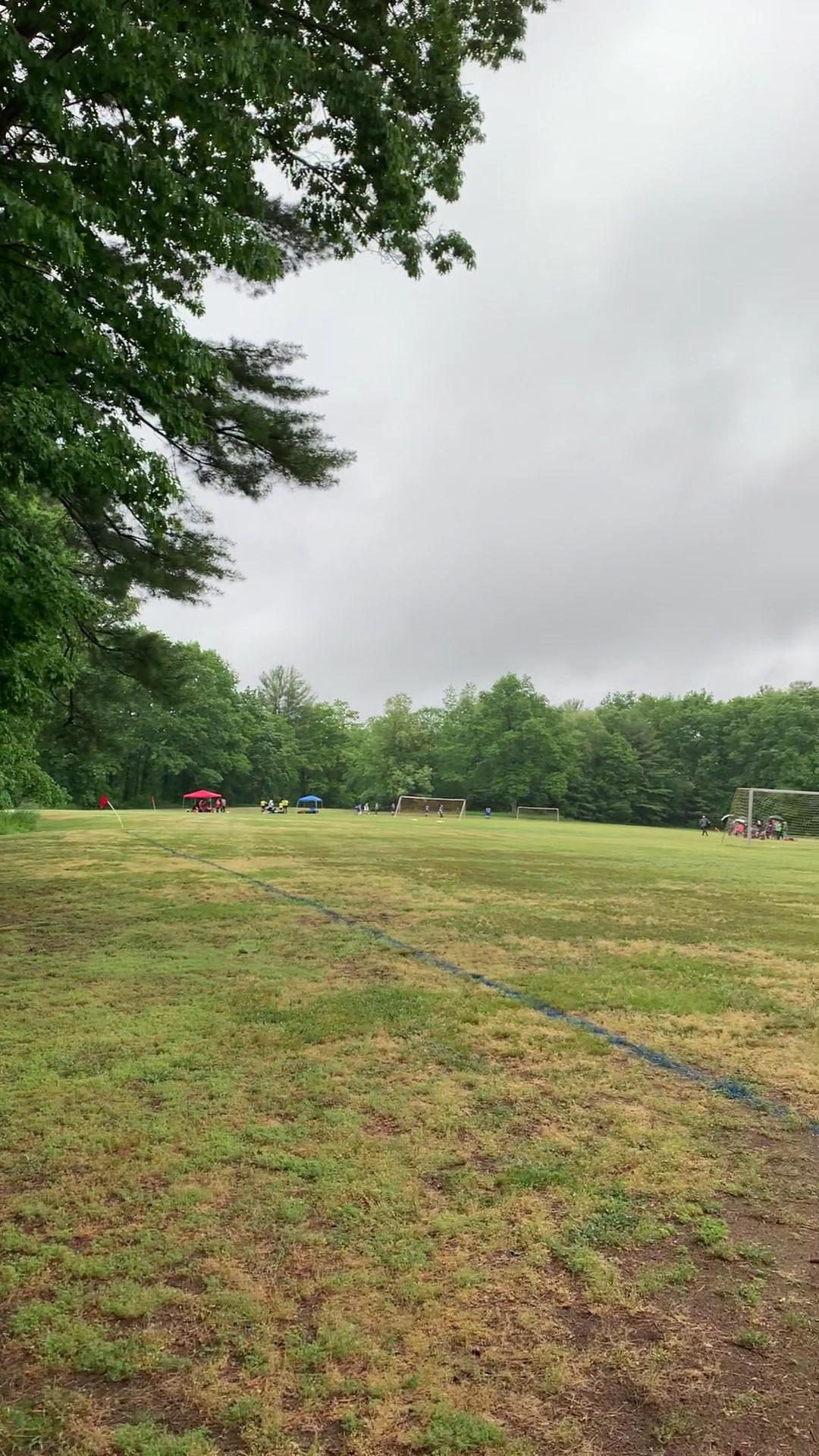 Kaley Park - Milford, NH