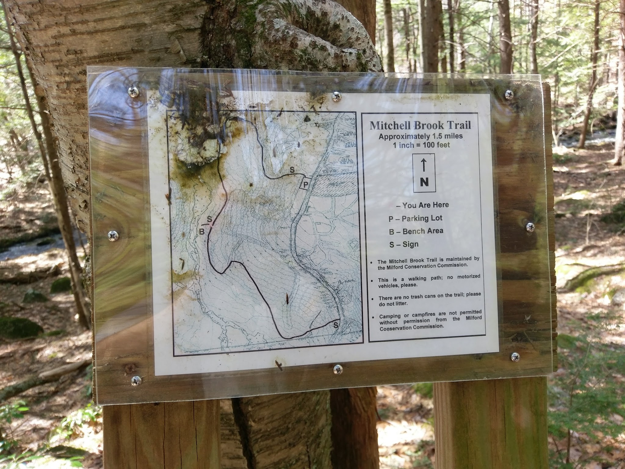 Mile Slip Town Forest Parking - Milford, NH