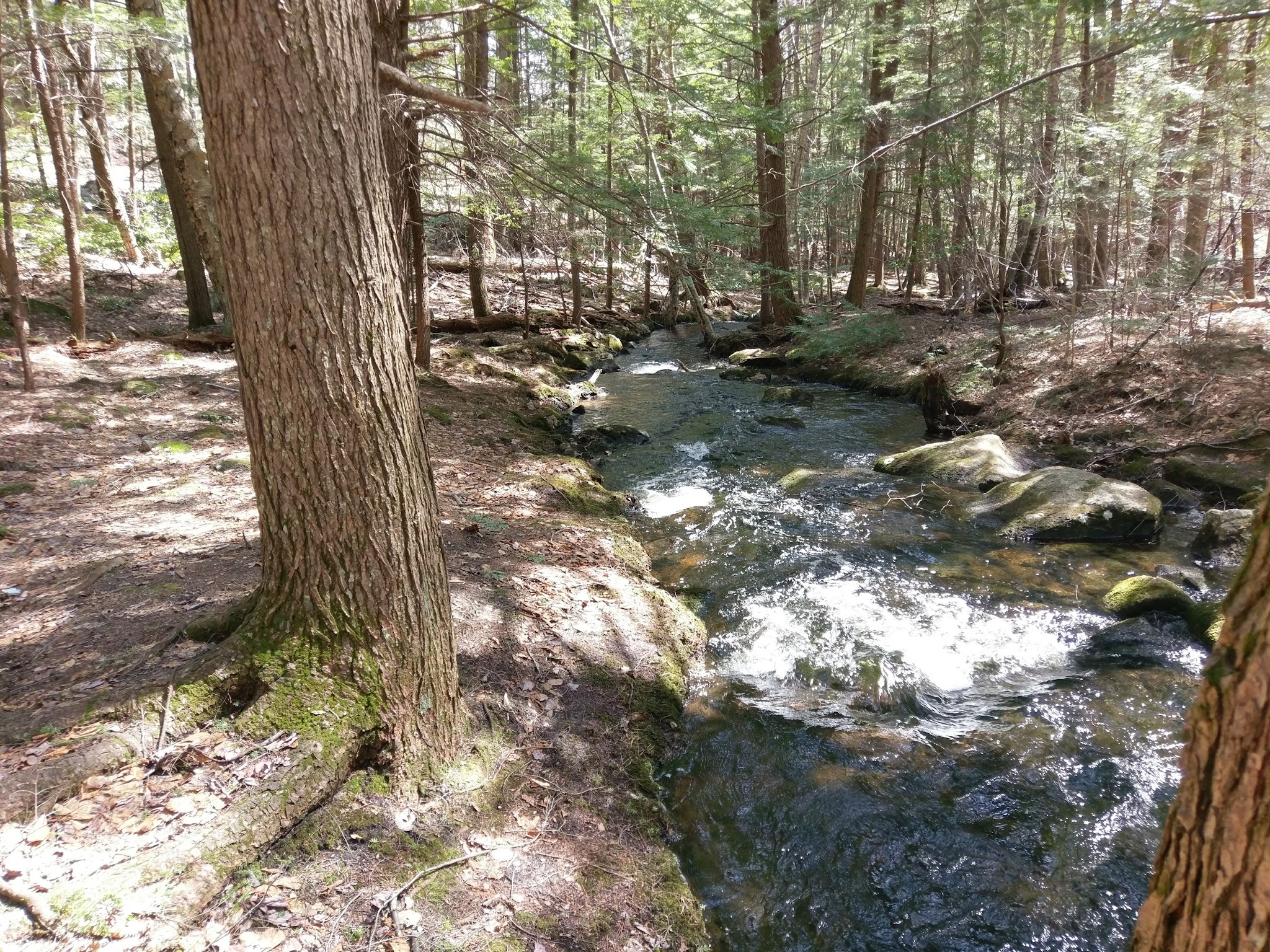 Mile Slip Town Forest Parking - Milford, NH