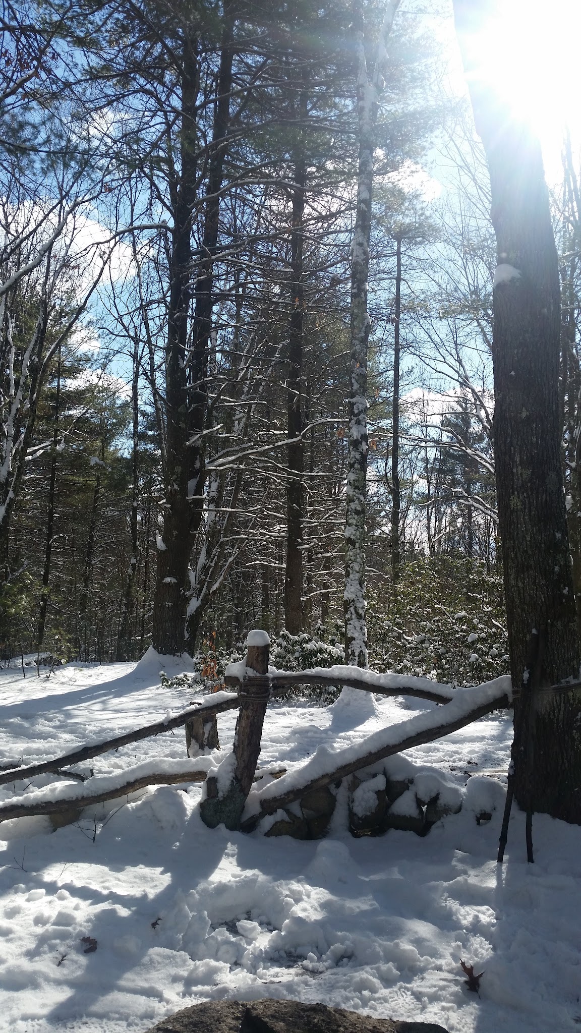 Mile Slip Town Forest Parking - Milford, NH