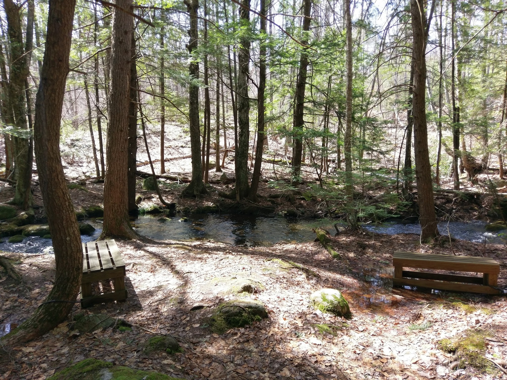 Mile Slip Town Forest Parking - Milford, NH