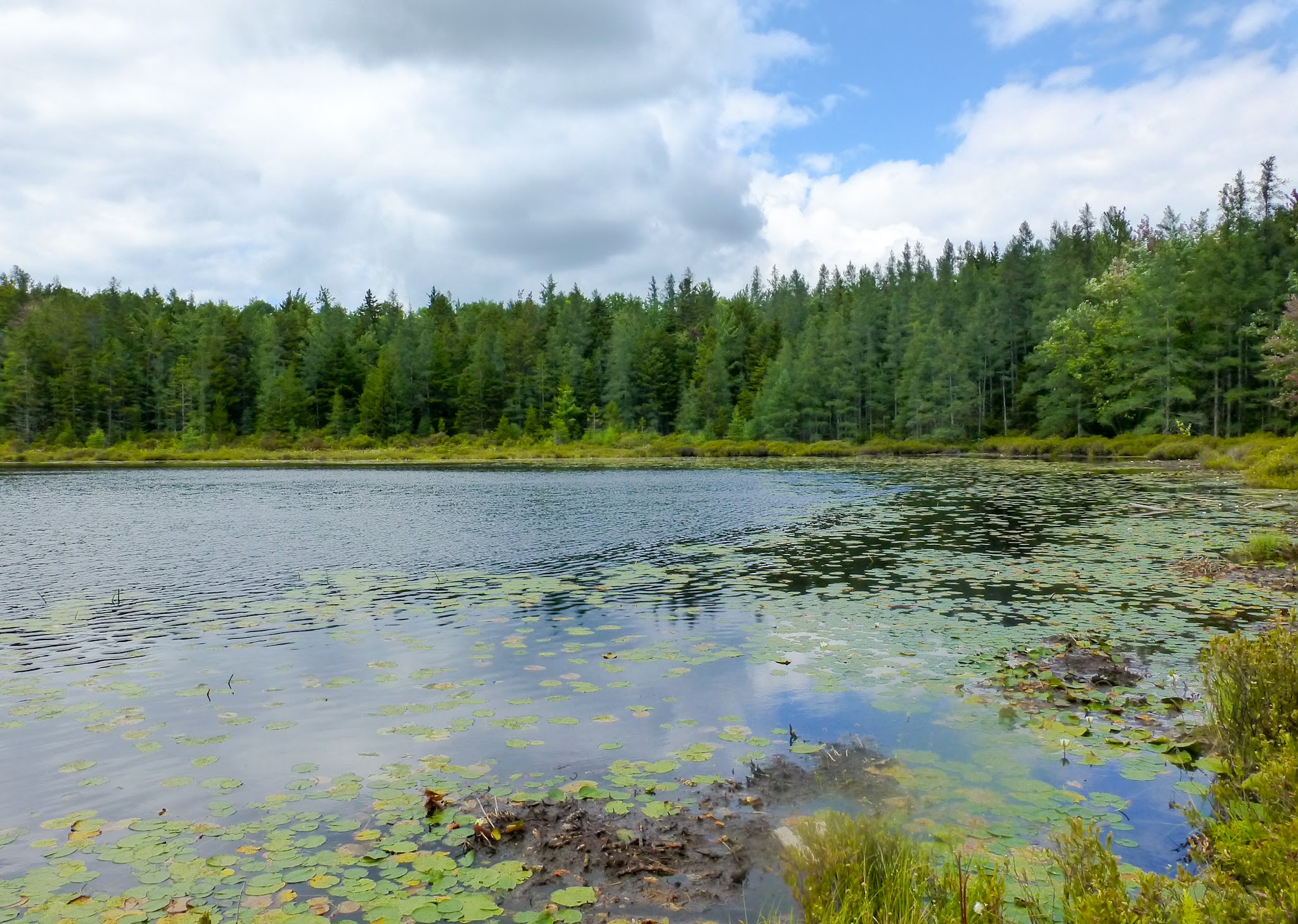 Mud Lake Trail - SR 58 Trailhead - Milford, NY